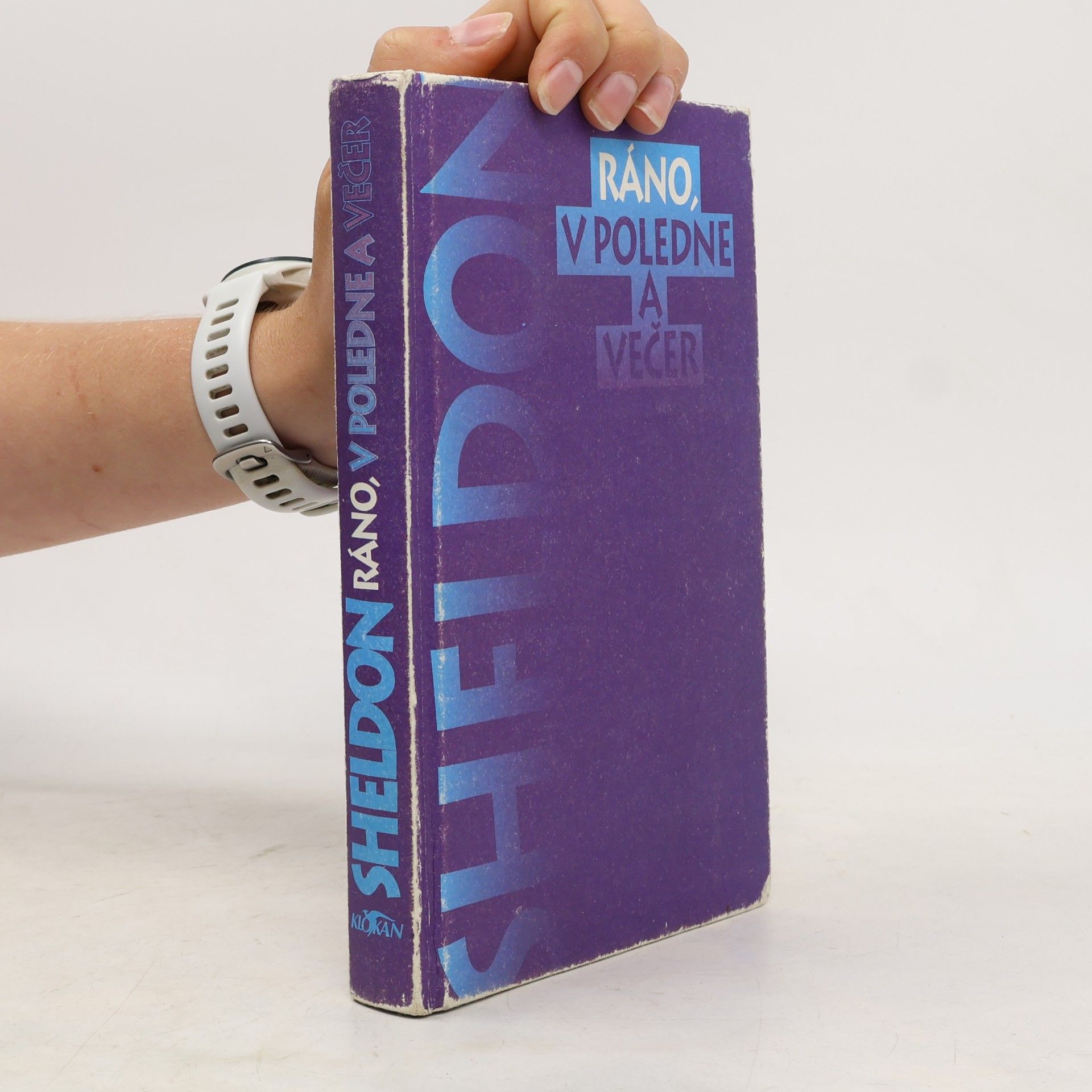 Sidney Sheldon Ráno, v poledne a večer