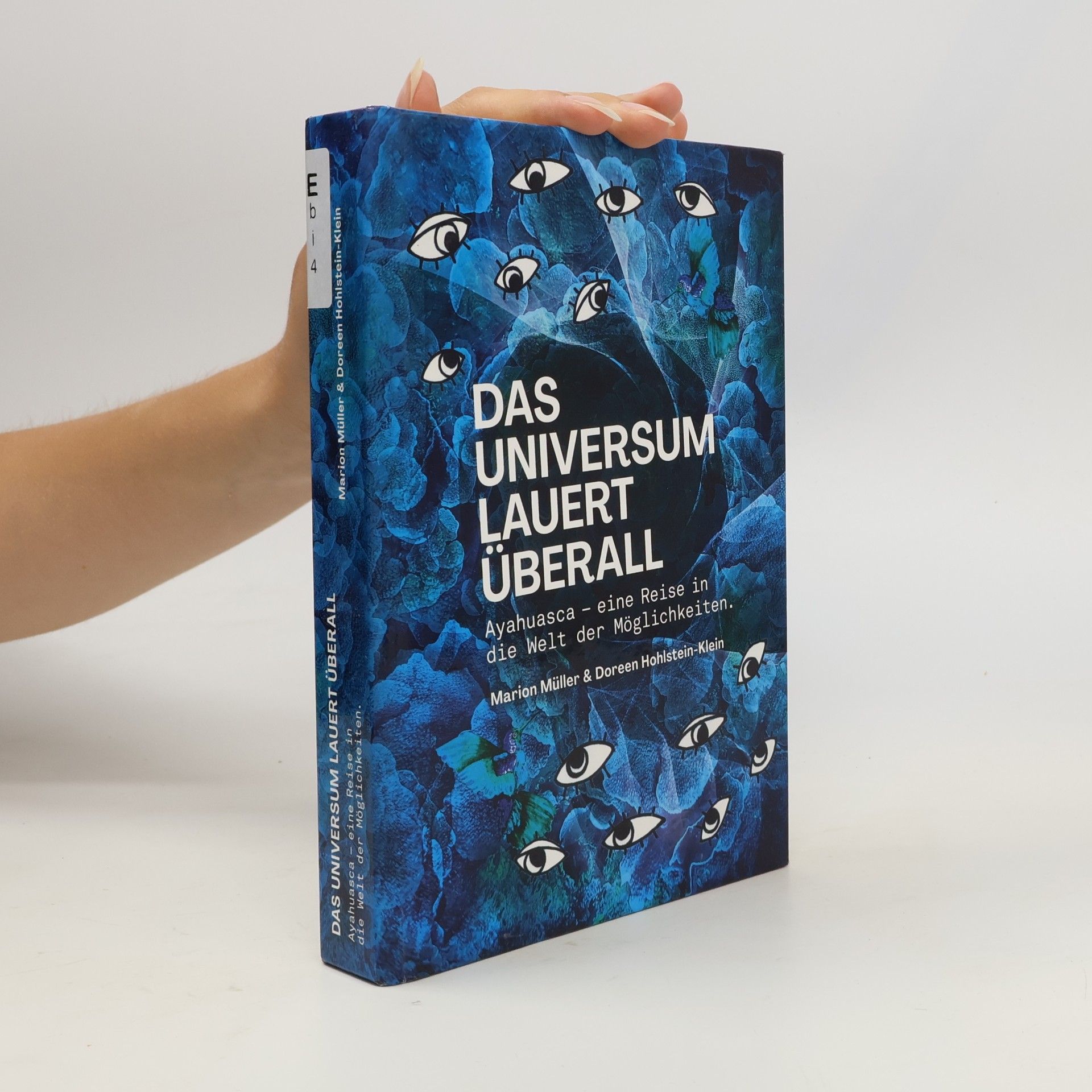 Doreen Hohlstein-Klein Das Universum lauert überall