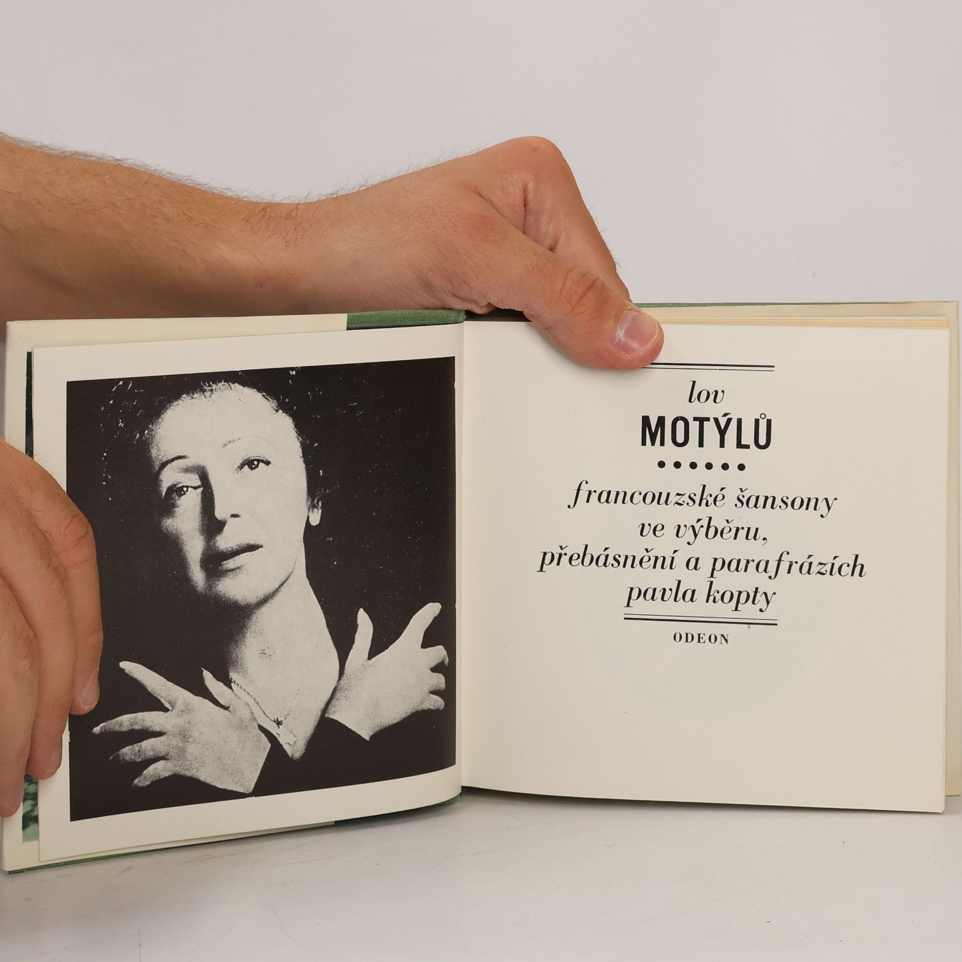 Lubomír Dorůžka Lov motýlů