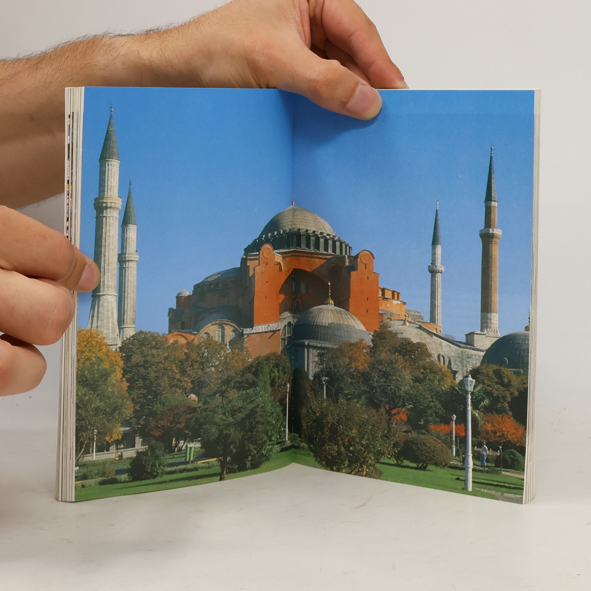Peter Scholl-Latour Das Schwert des Islam