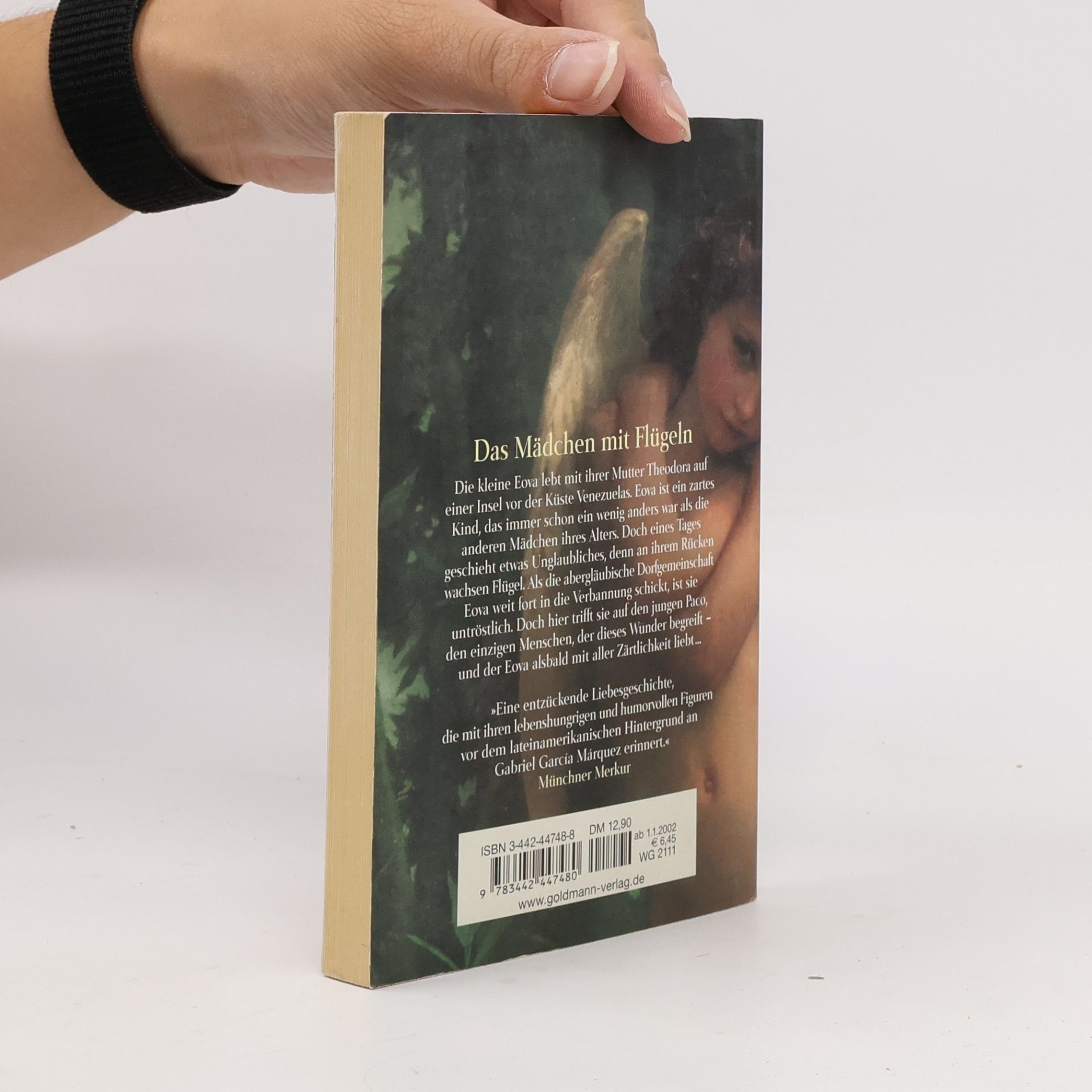 Clara Dupont Monod Das Mädchen mit Flügeln
