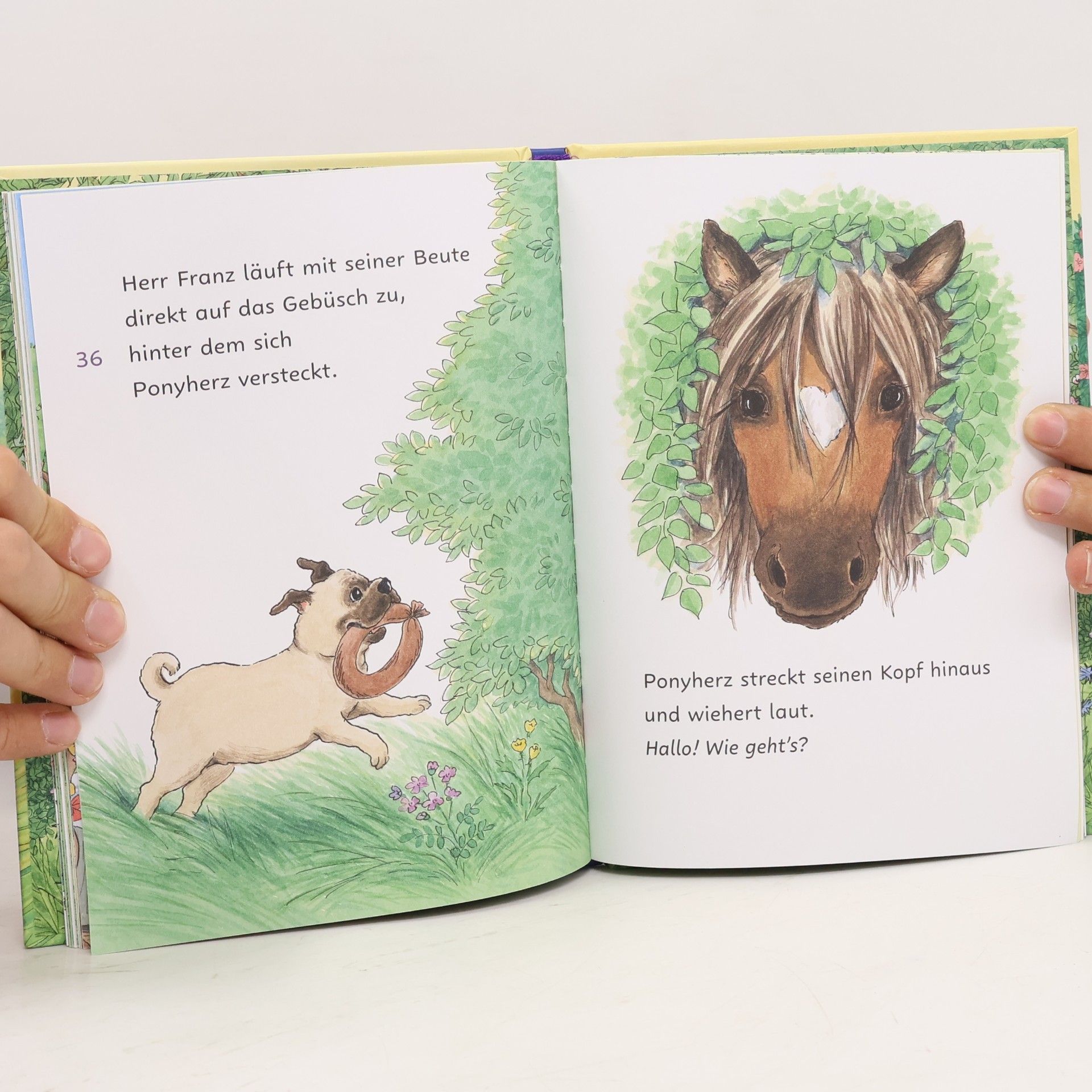Usch Luhn Ponyherz und Herr Franz: Die geklaute Wurst