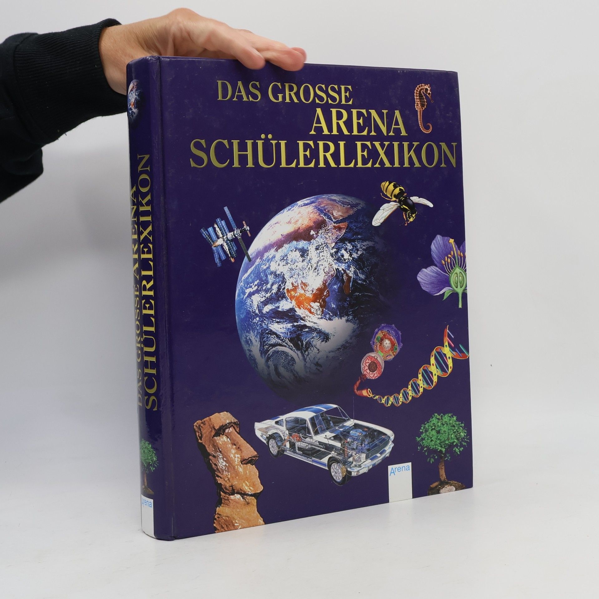 Ralph-Michael Schmidt Das große Arena-Schülerlexikon