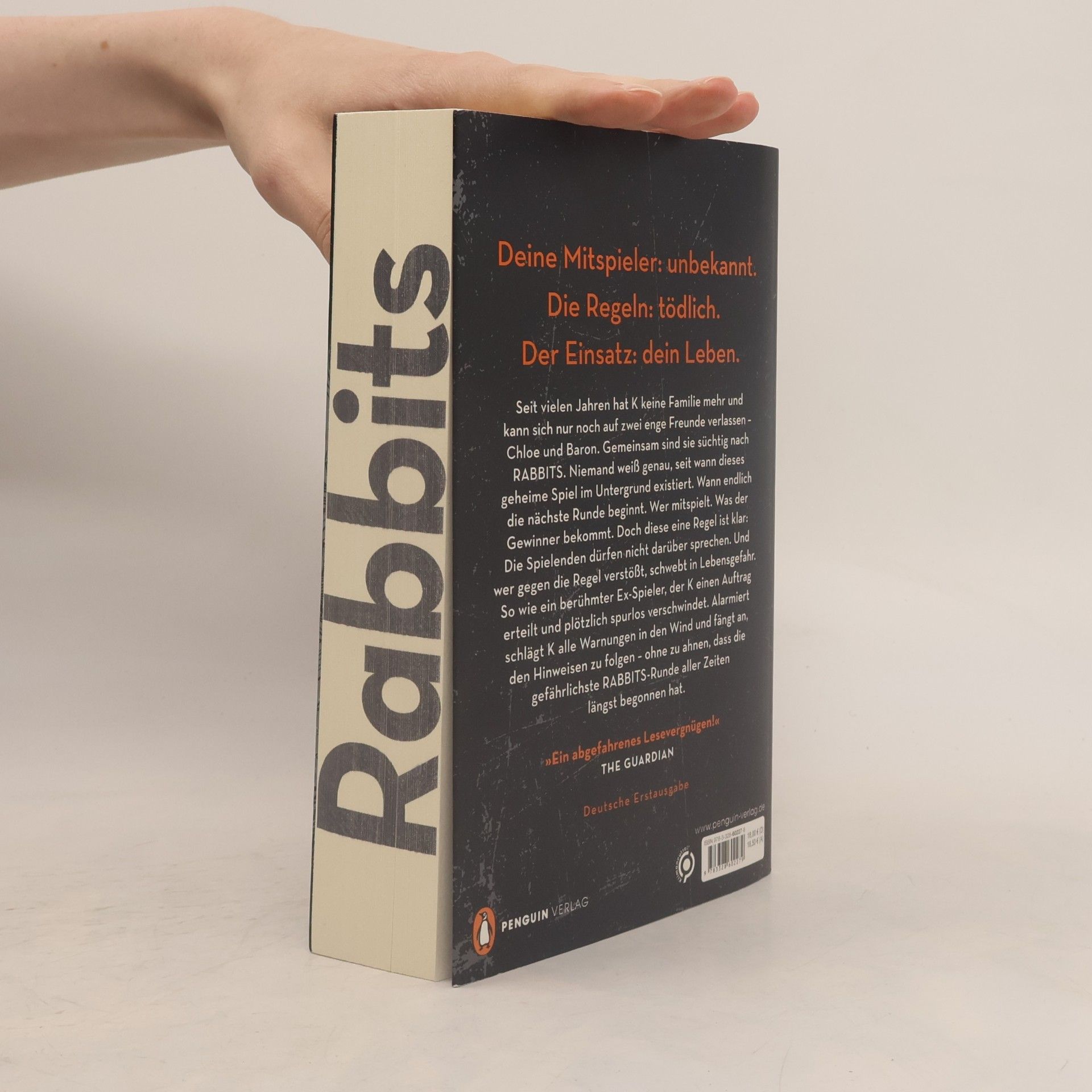 Terry Miles Rabbits - Spiel um dein Leben