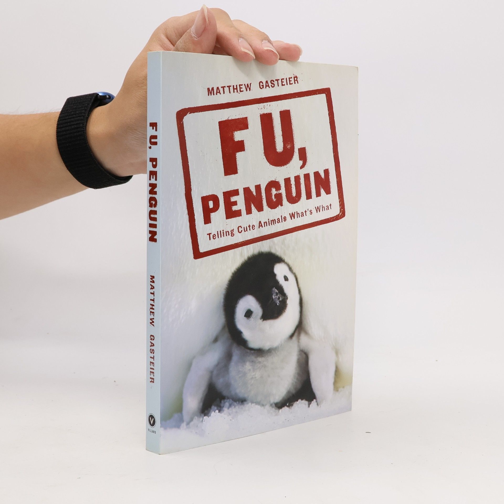 Matthew Gasteier F U, Penguin