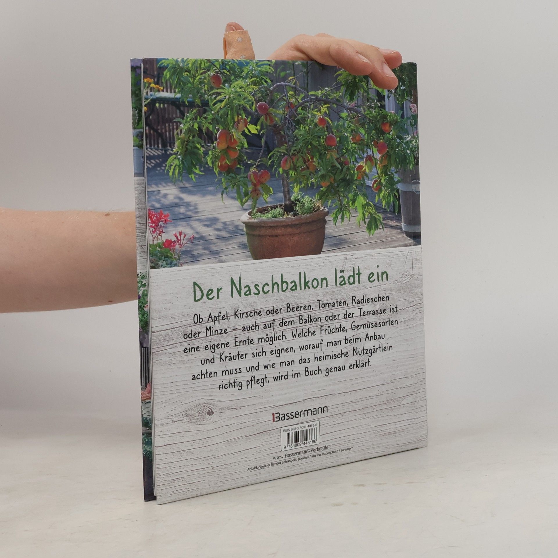 Ursula Kopp Alles Bio vom Balkon. Obst, Gemüse und Kräuter selber ziehen.