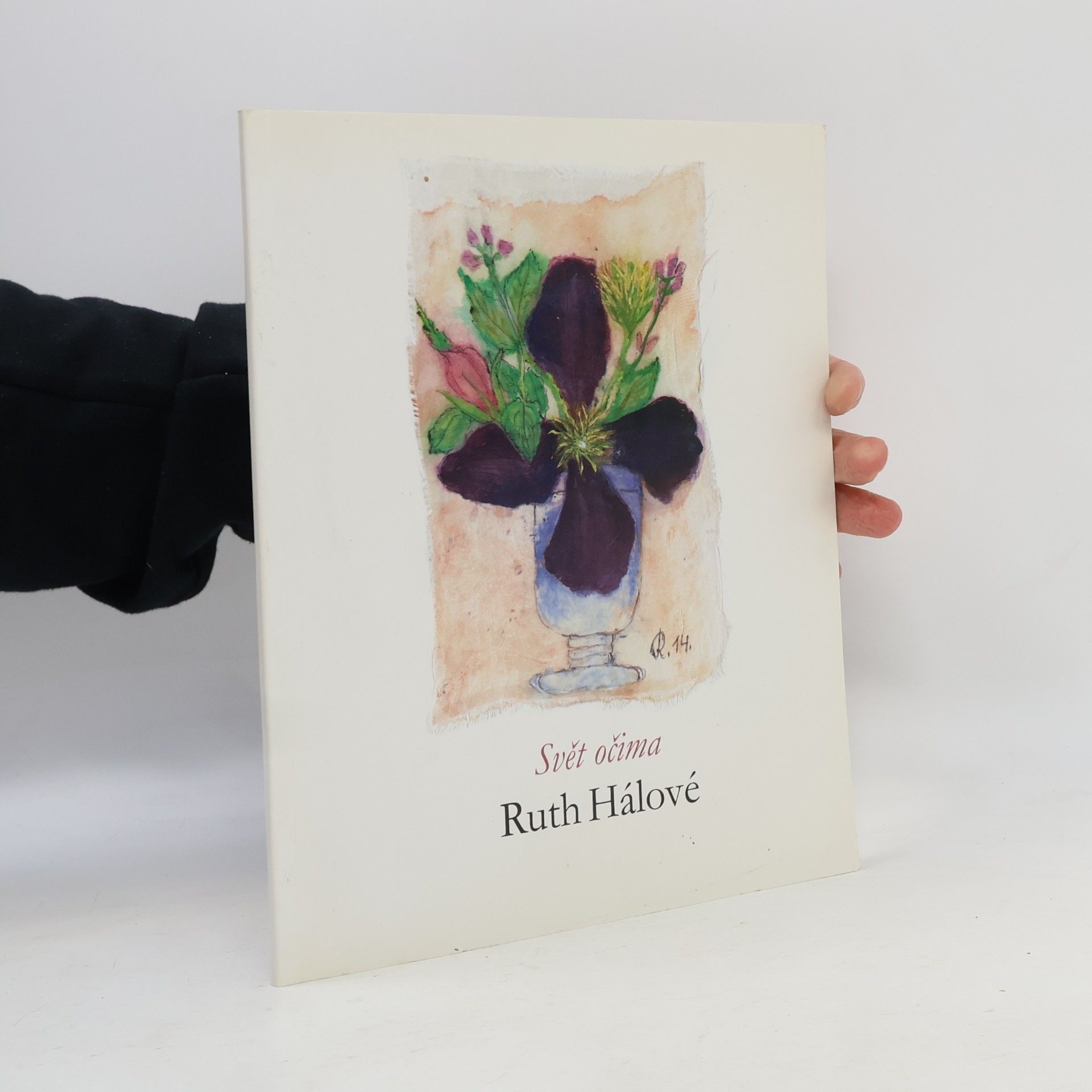 Kolektiv autorů Svět očima Ruth Hálové