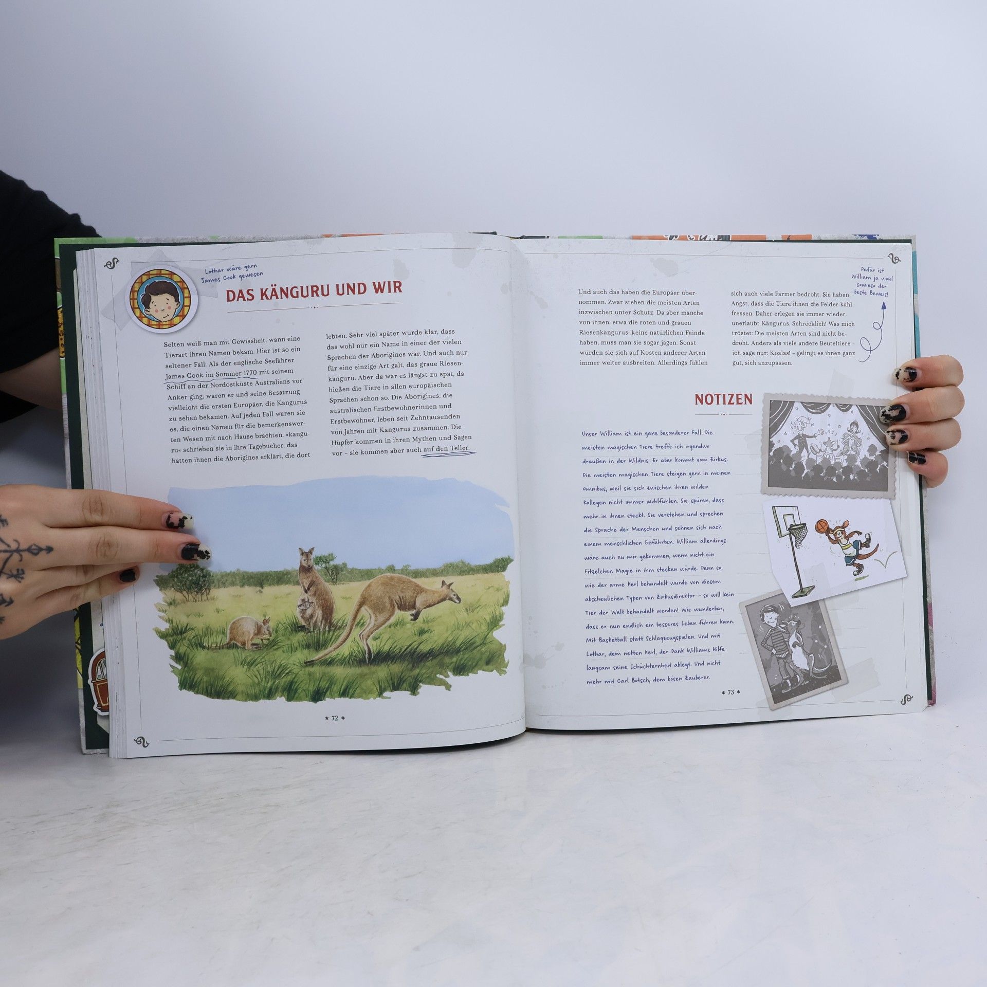 Margit Auer Die Schule der magischen Tiere: Mister Morrisons gesammeltes Tierwissen
