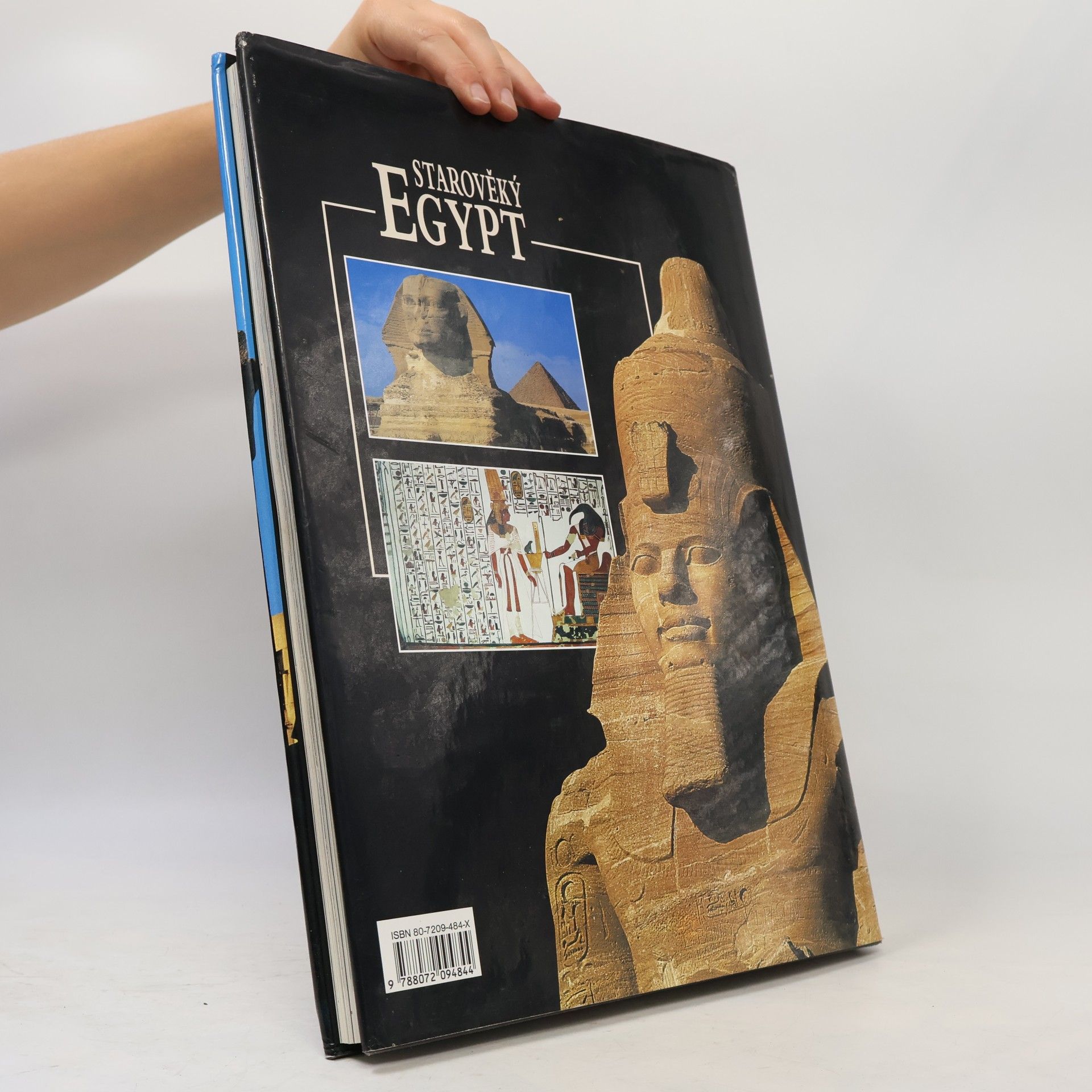 Giorgio Agnese Starověký Egypt: Archeologický průvodce zemí faraonů