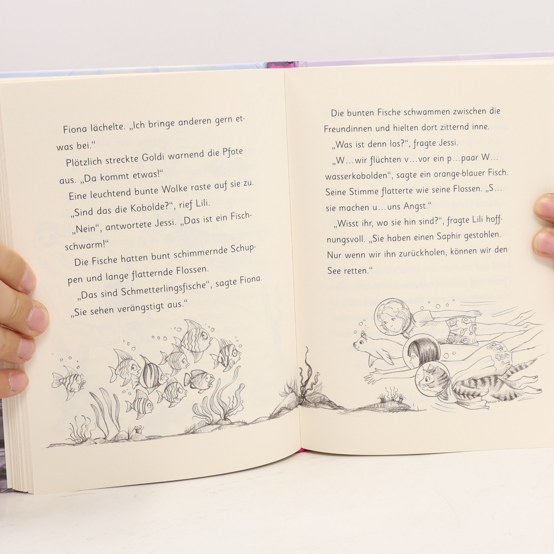 Daisy Meadows Fiona Funkelflosse und das verschwundene Juwel