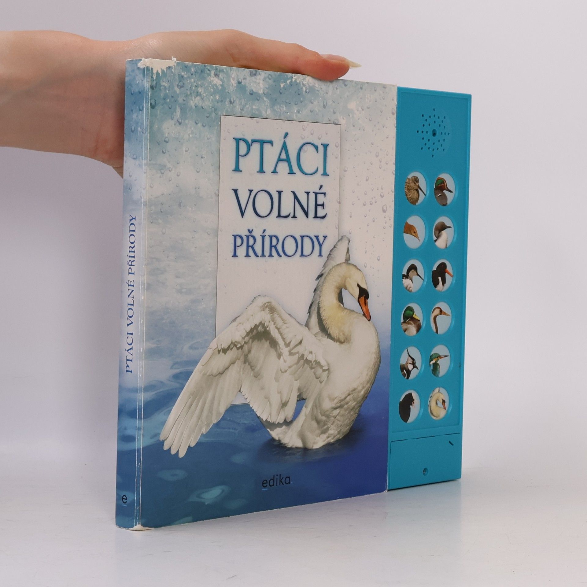 Andrea Pinnington Ptáci volné přírody