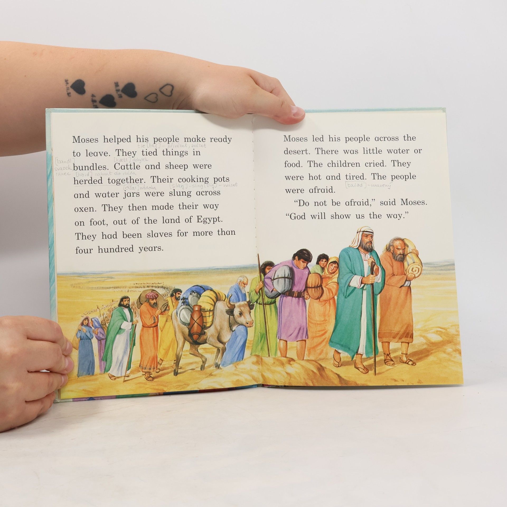 Rosalind Sutton Now You Can Read--Bible Stories: Moses the Leader: Large Type For Early Readers