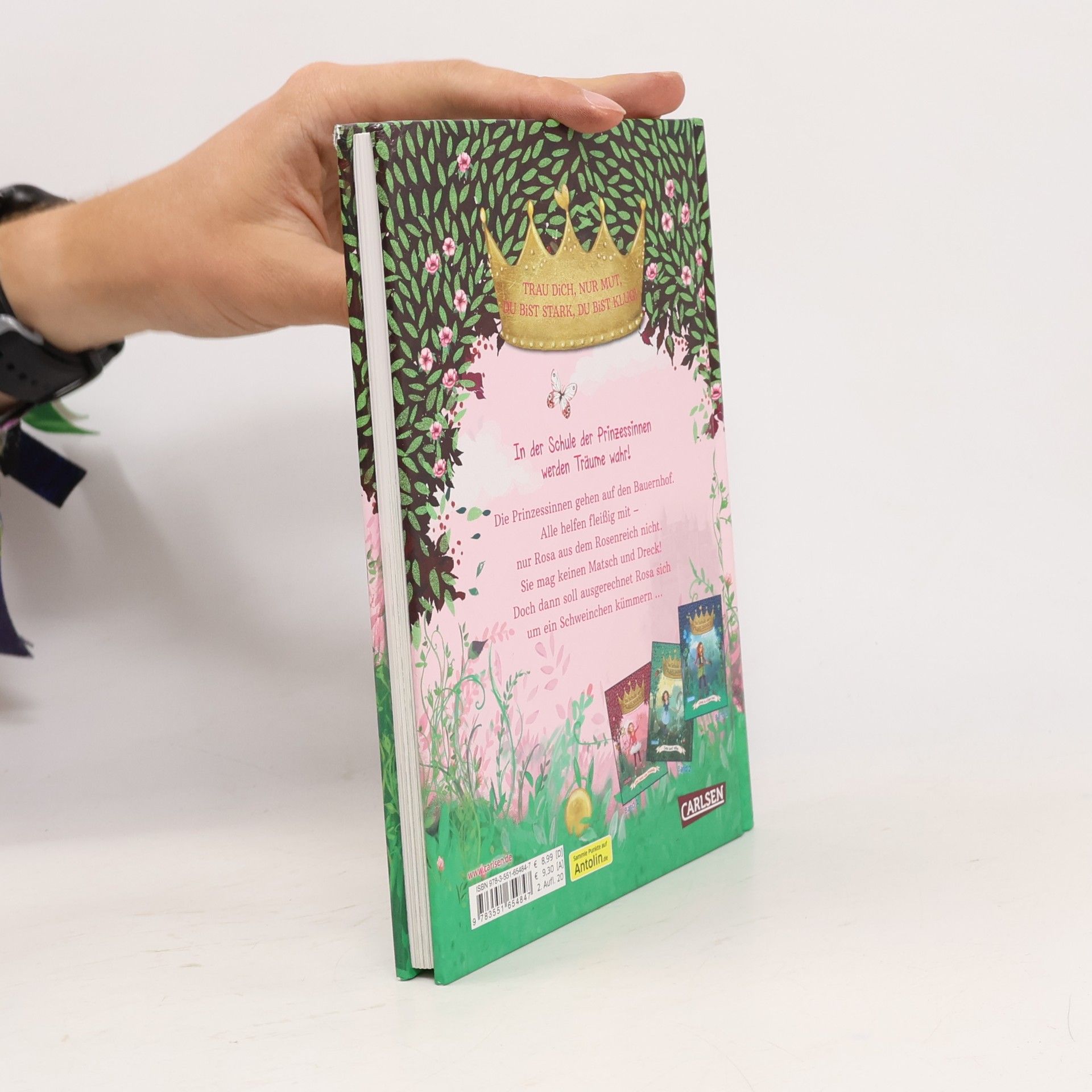 Judith Allert Die Schule der Prinzessinnen 4: Rosa und das Glücksschwein
