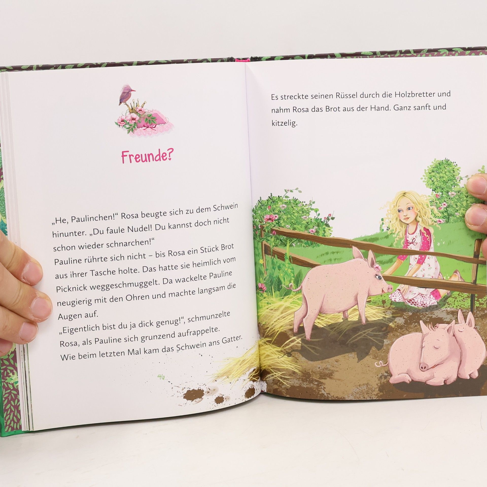 Judith Allert Die Schule der Prinzessinnen 4: Rosa und das Glücksschwein