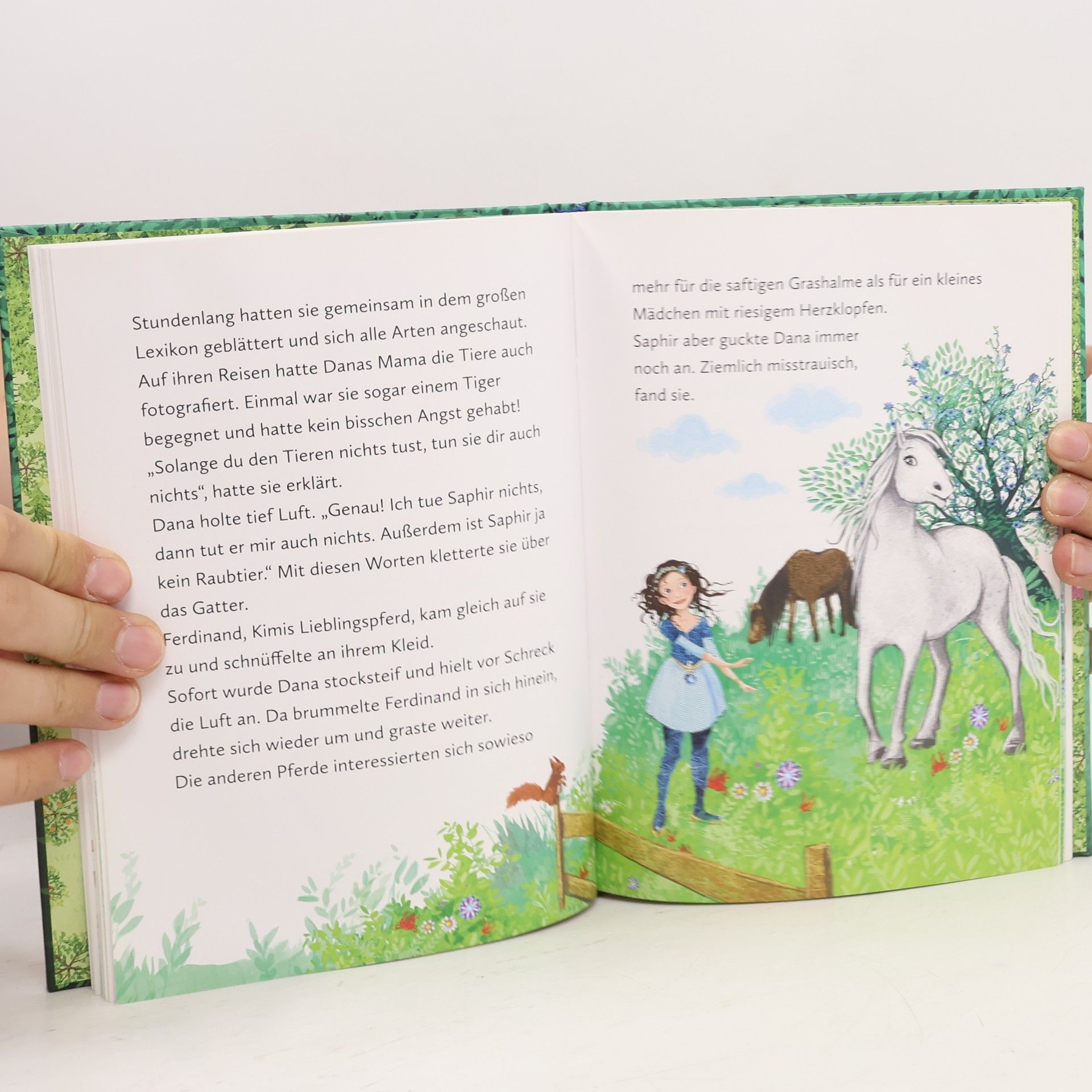 Judith Allert Dana lernt reiten / Die Schule der Prinzessinnen Bd.2