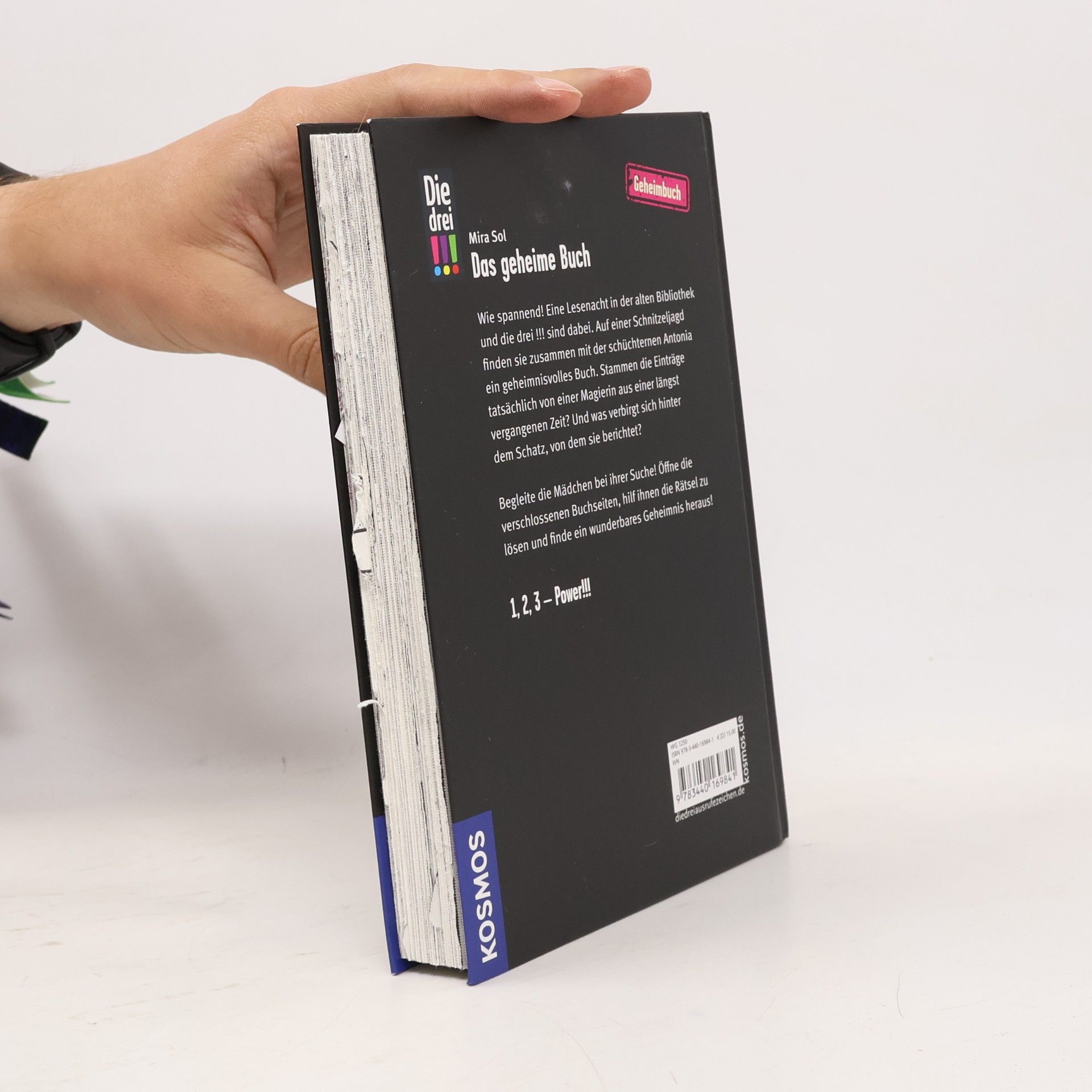 Mira Sol Die drei !!! - das geheime Buch