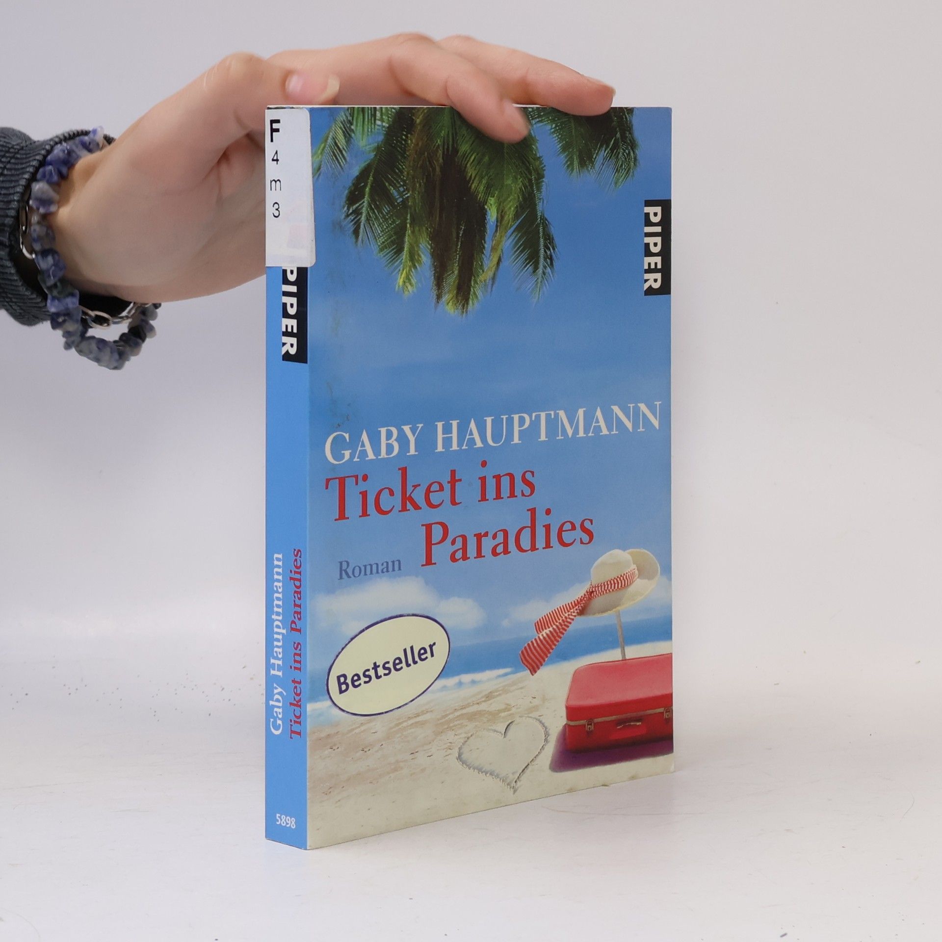 Gaby Hauptmann Ticket ins Paradies