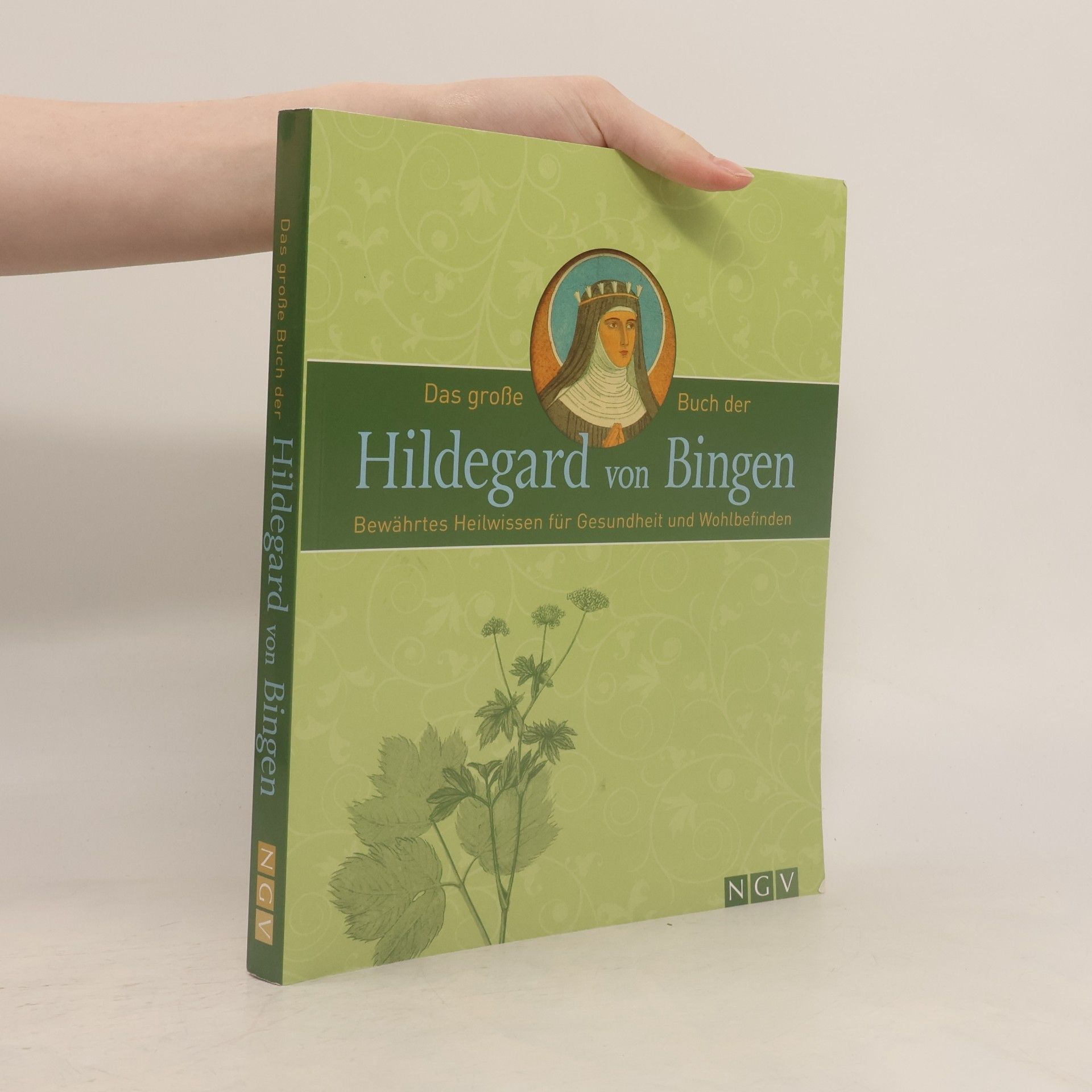 Various authors Das große Buch der Hildegard von Bingen