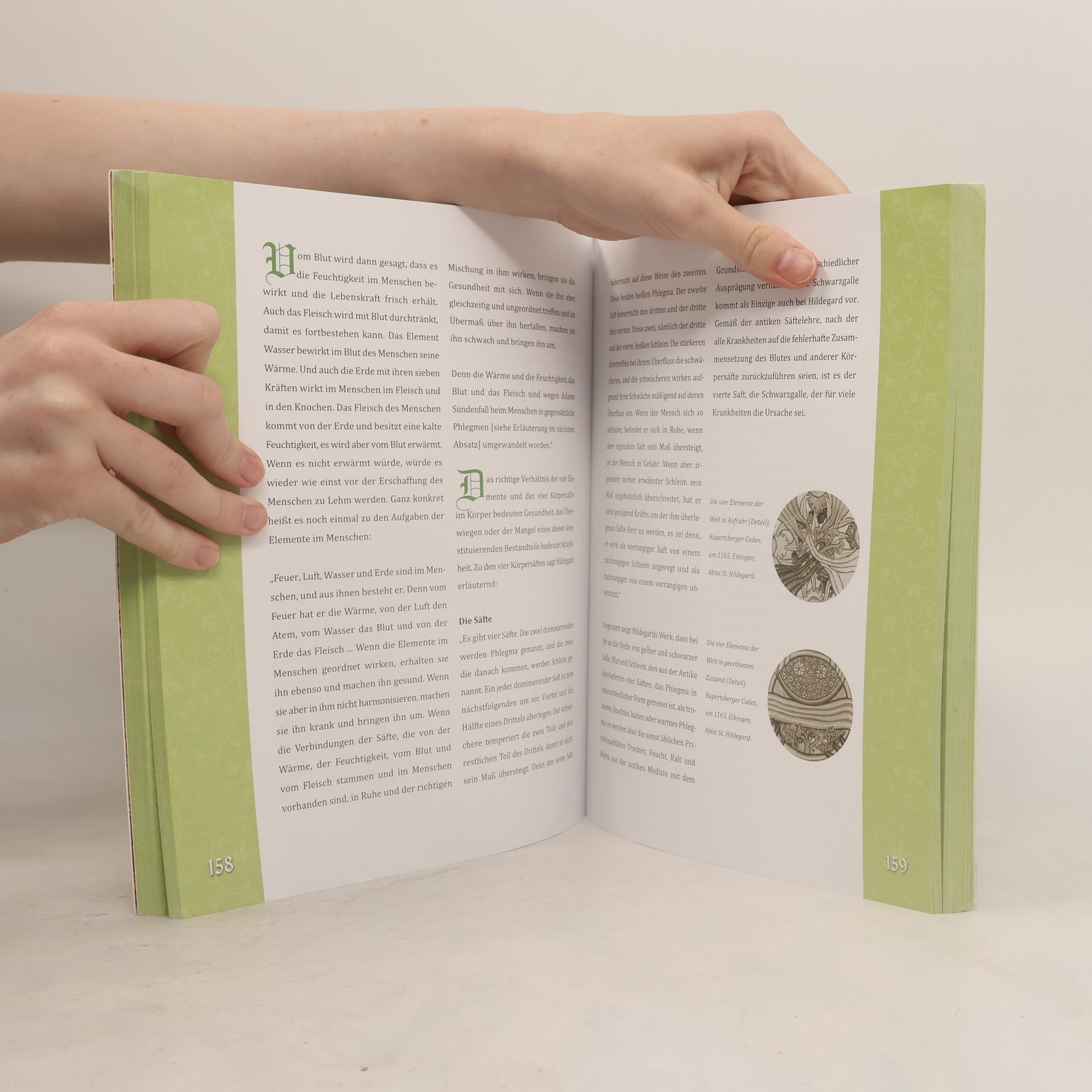 Various authors Das große Buch der Hildegard von Bingen