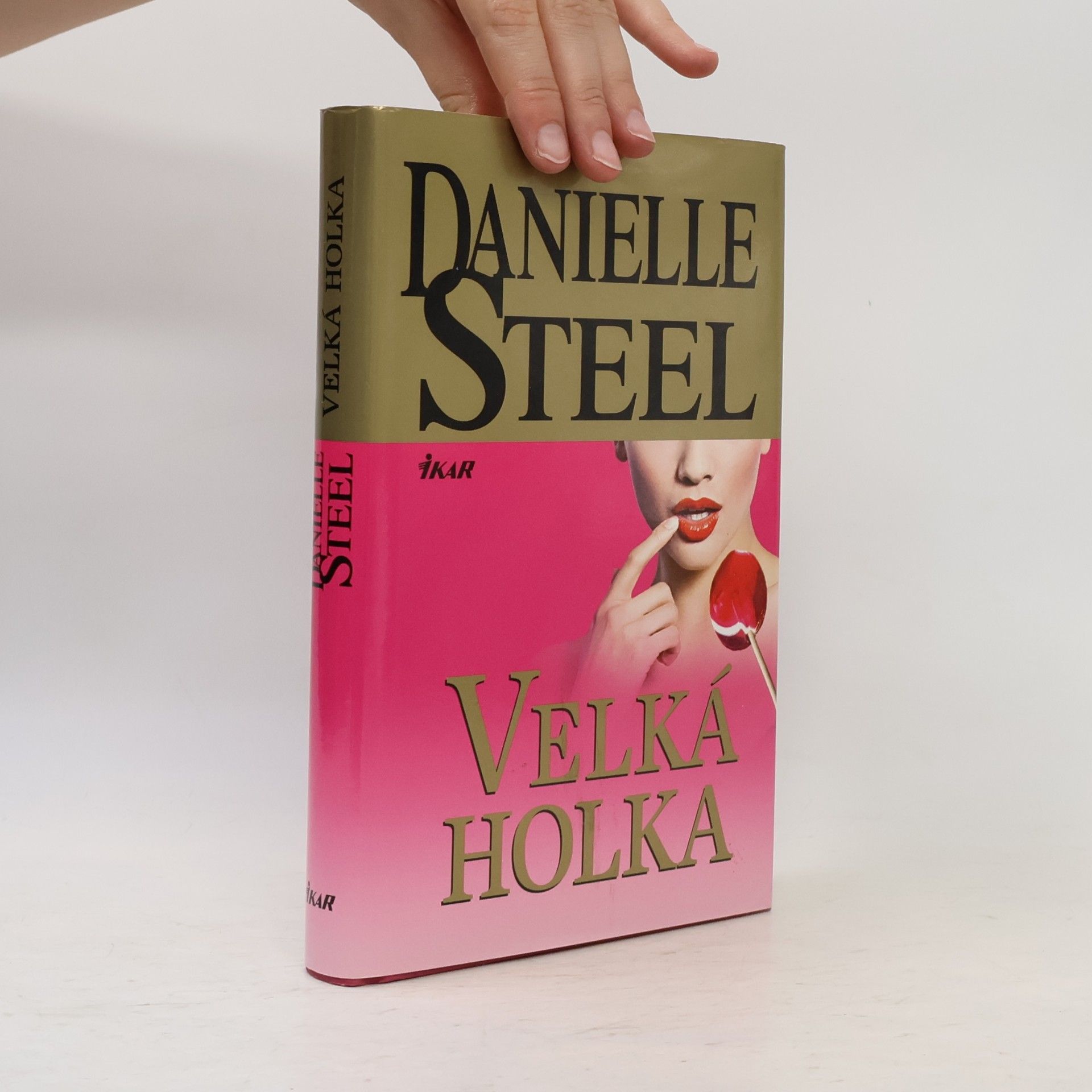 Danielle Steel Velká holka