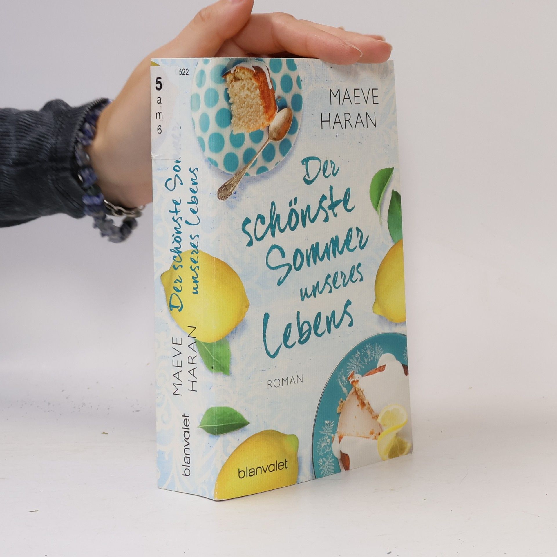 Maeve Haran Der schönste Sommer unseres Lebens