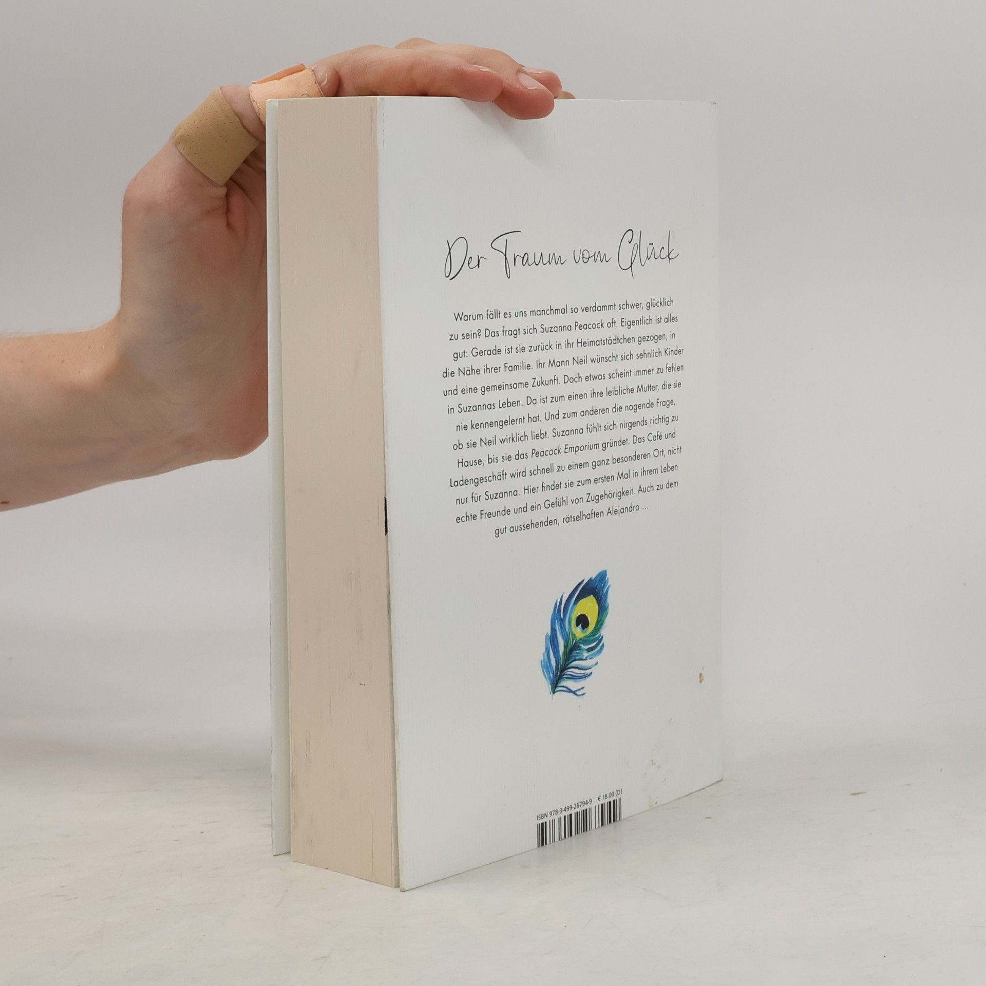 Jojo Moyes Ein ganz besonderer Ort