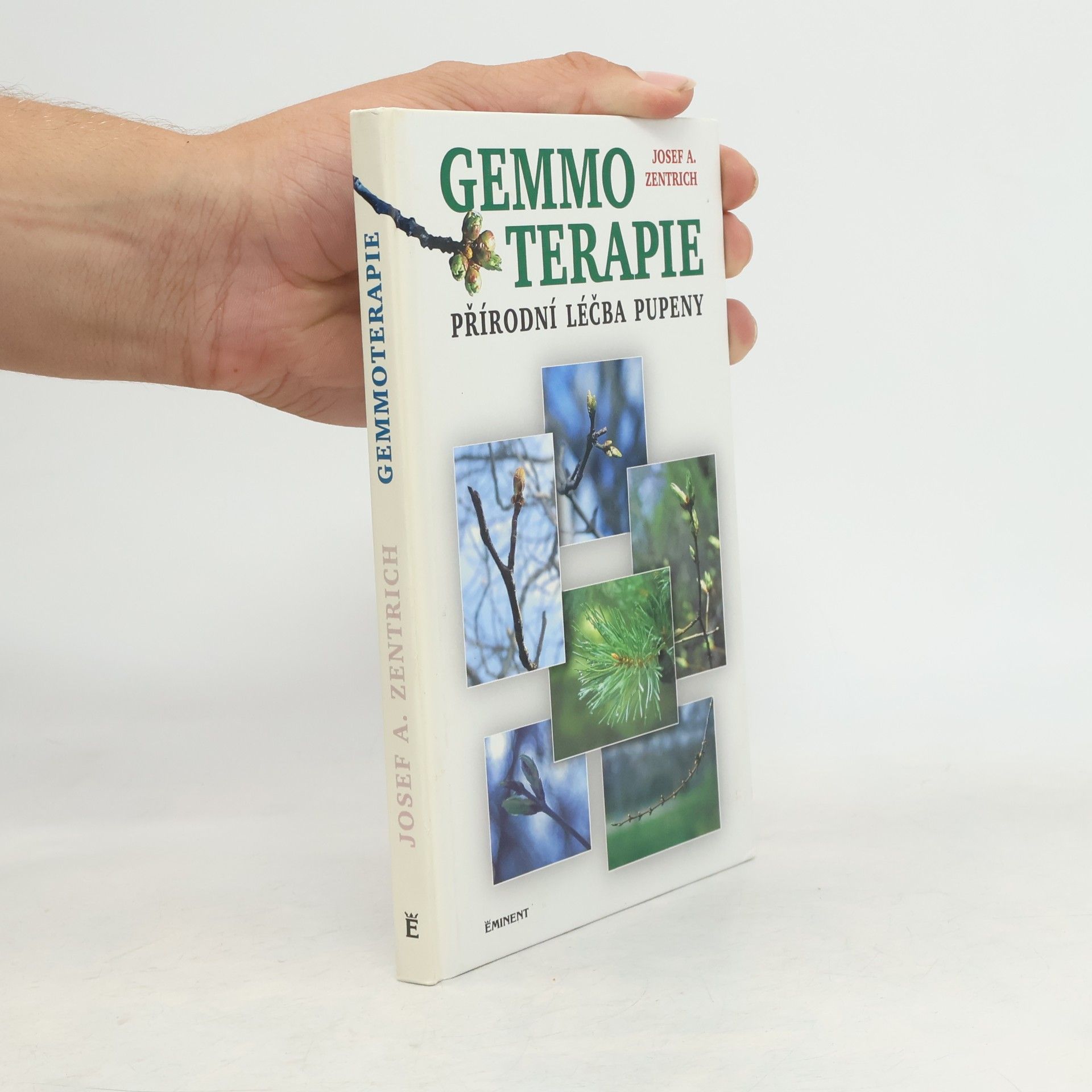 Gemmoterapie. Přírodní léčba pupeny