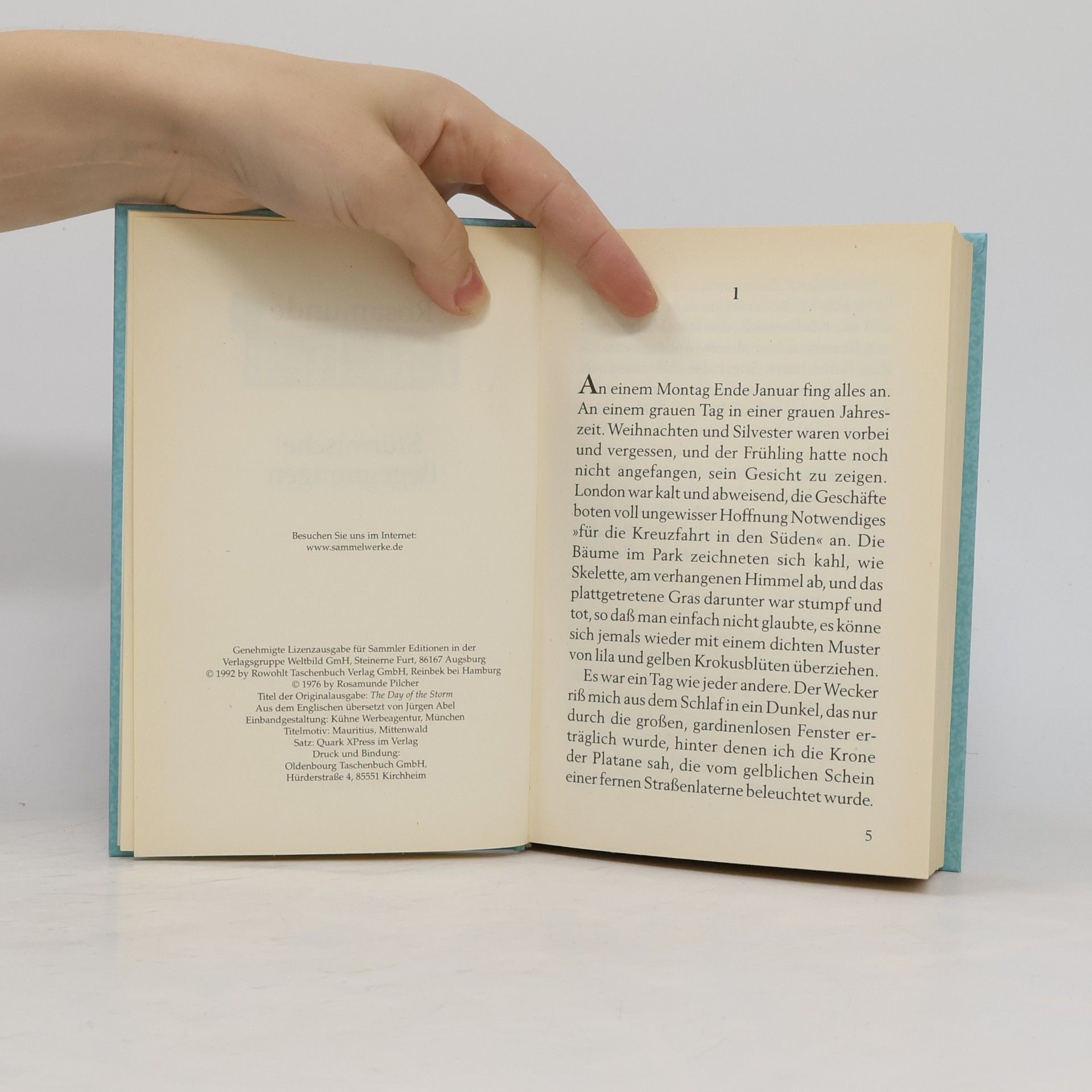 Rosamunde Pilcher Stürmische Begegnung