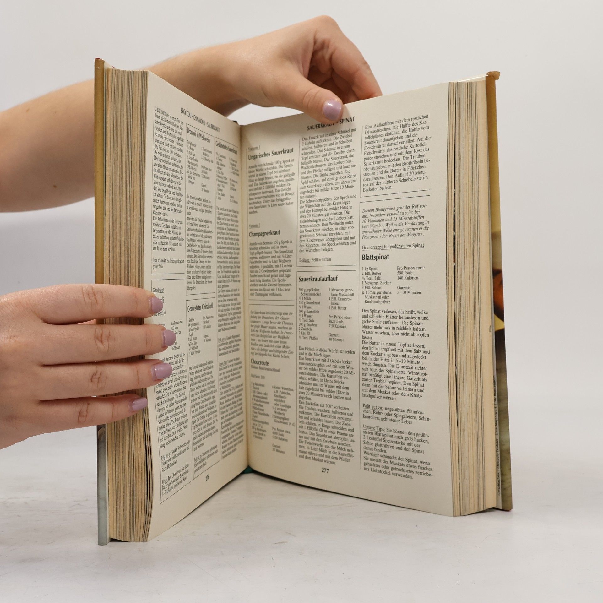 Annette Wolter Das Große Kochbuch
