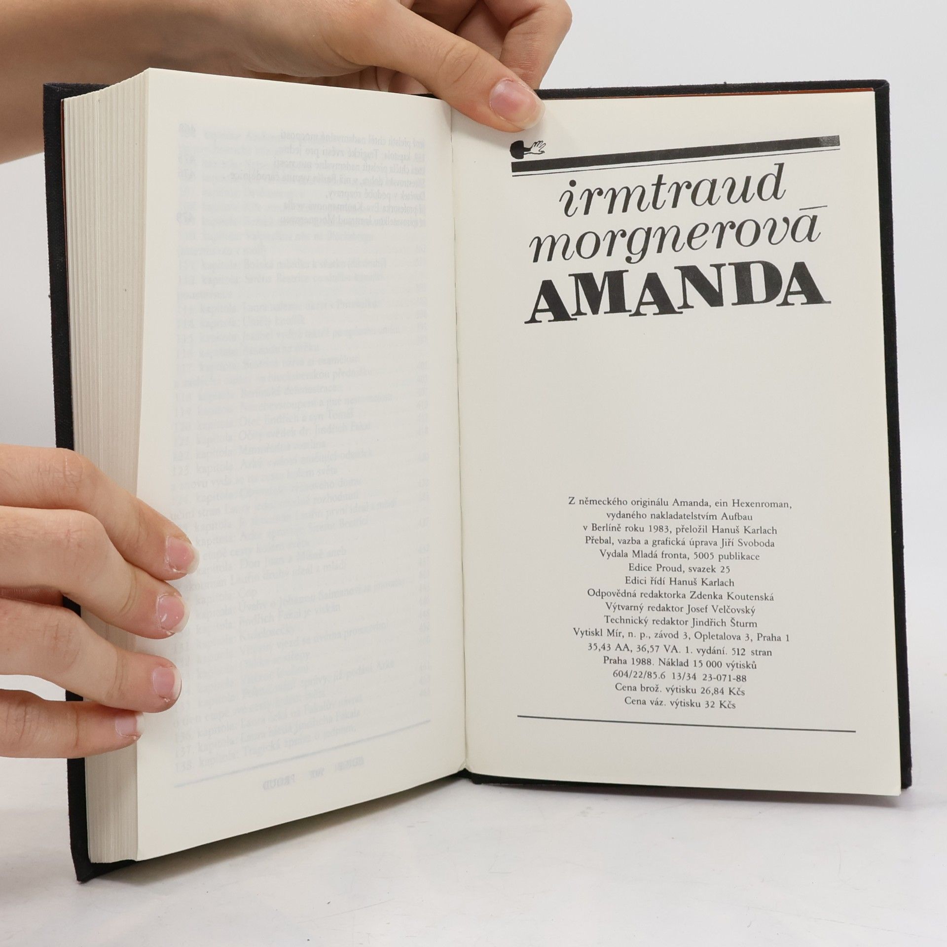 Irmtraud Morgner Amanda. Čarodějničí román