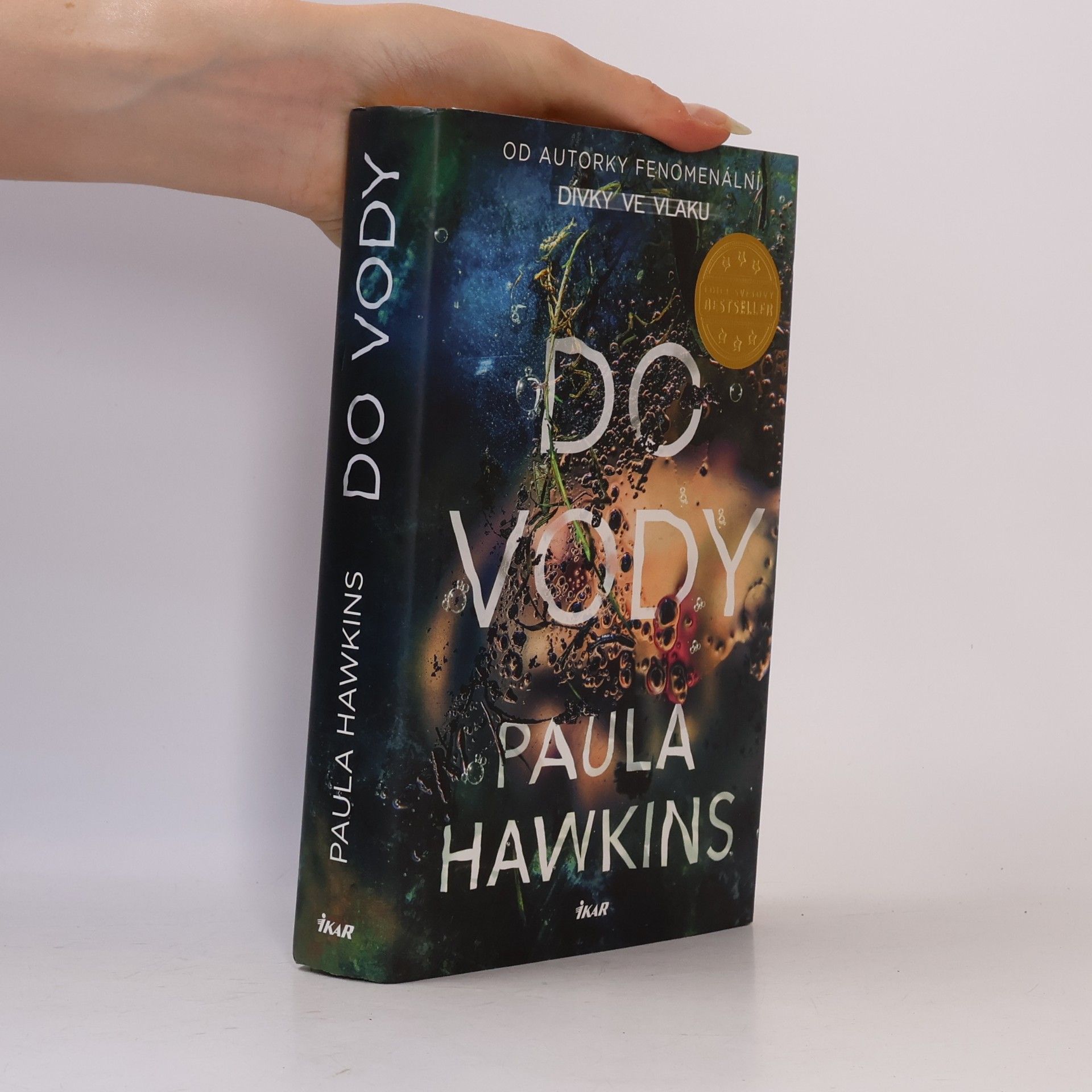Paula Hawkinsová Do vody