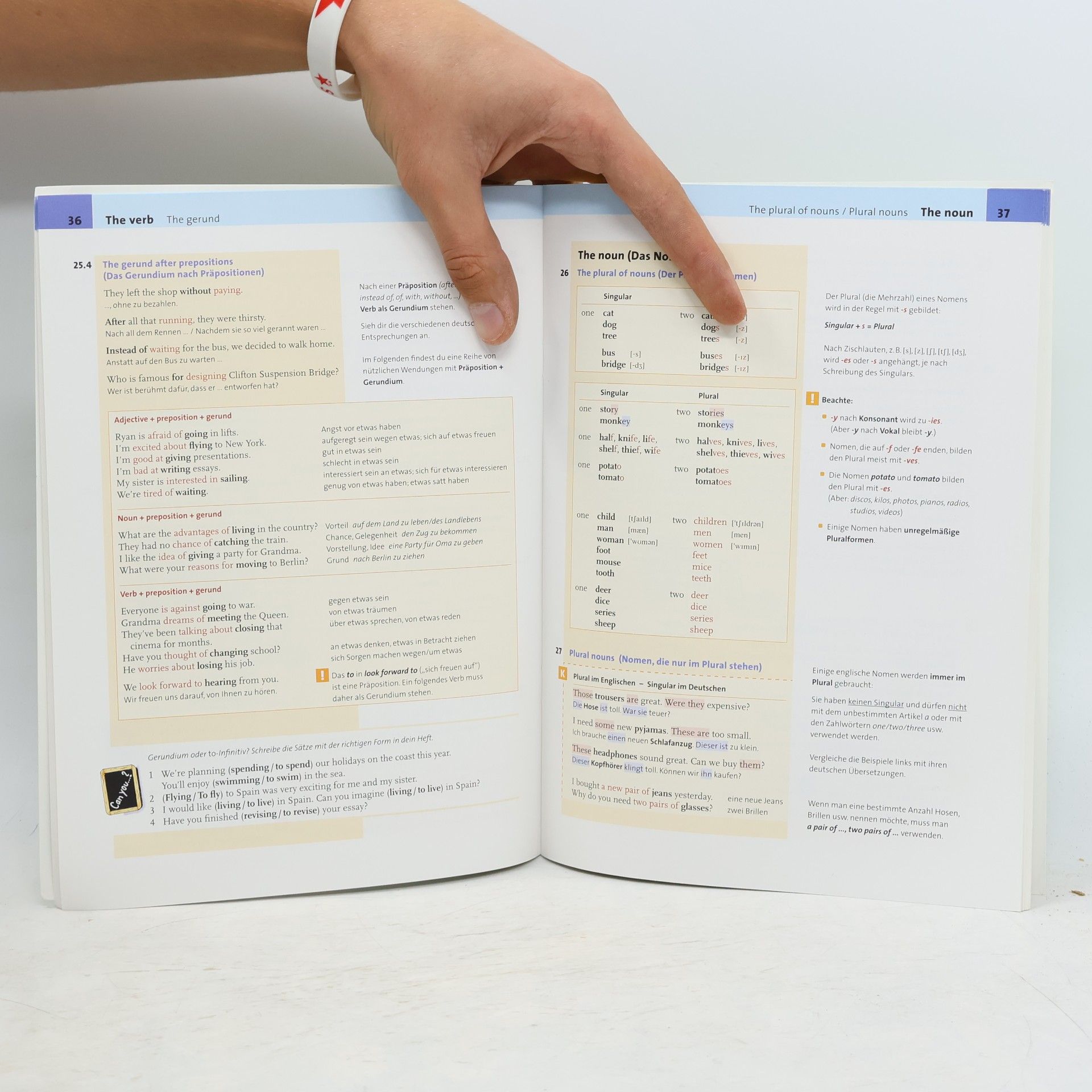 Hellmut Schwarz 7./8. Schuljahr, Grammar and Skills