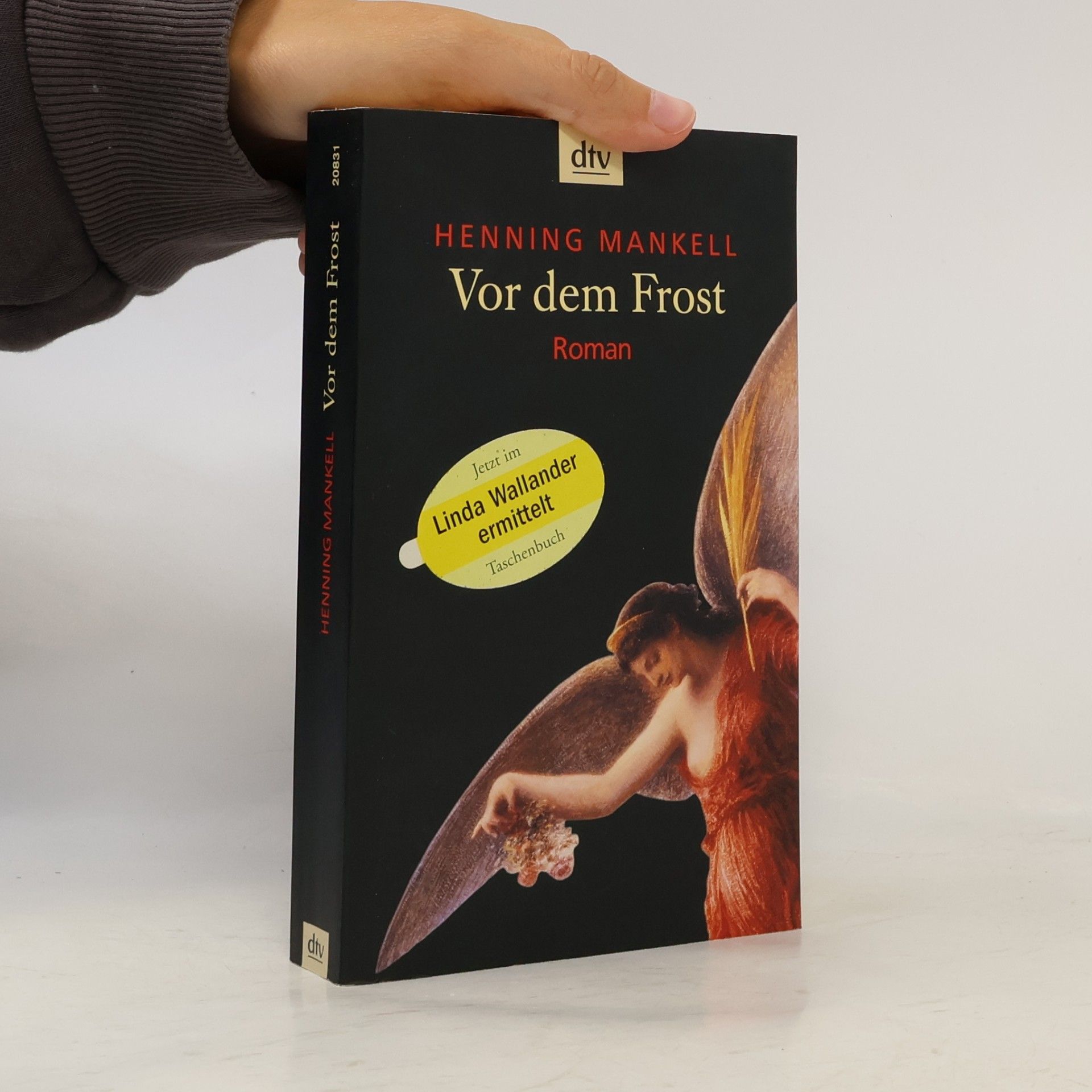Henning Mankell Vor dem Frost