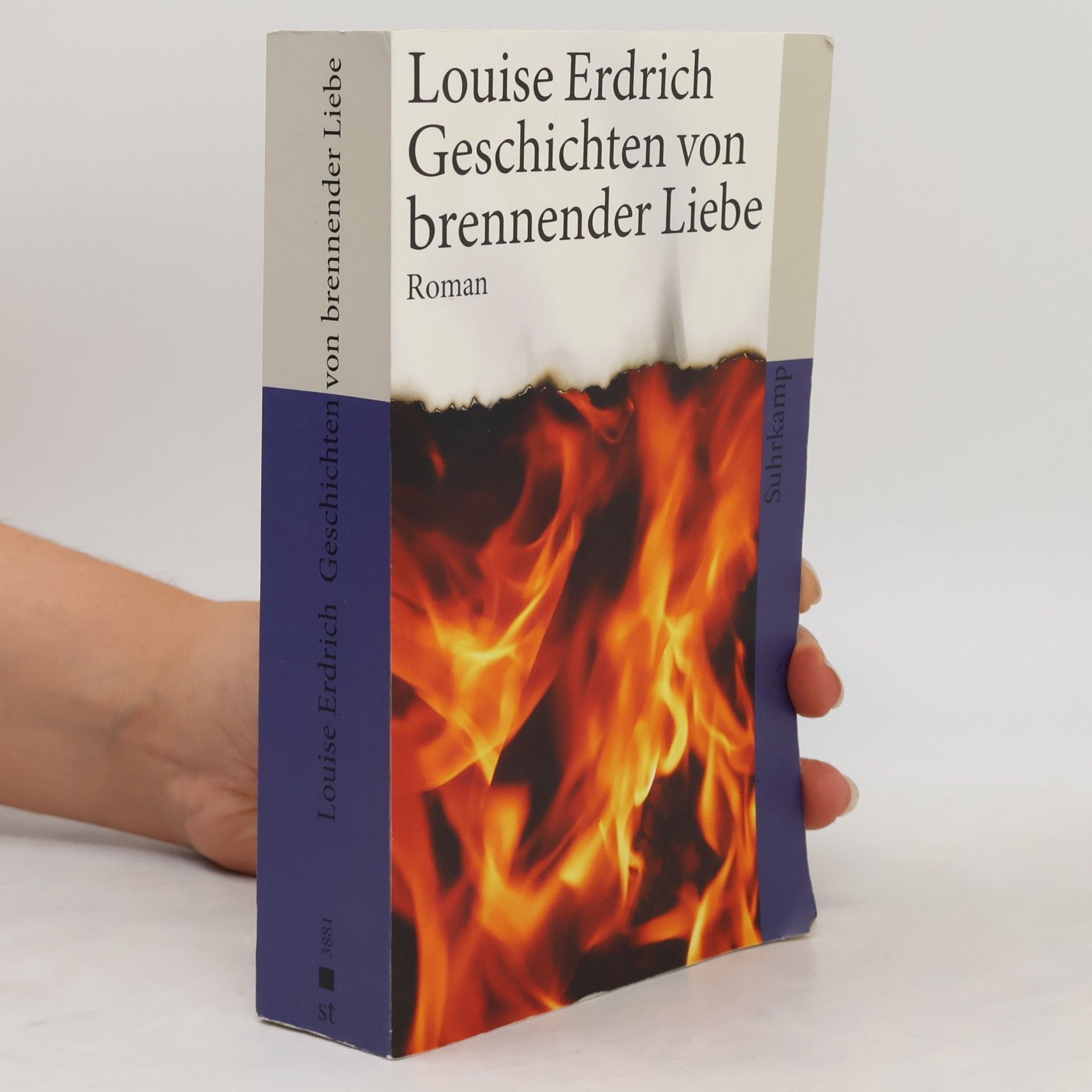 Louise Erdrich Geschichten von brennender Liebe