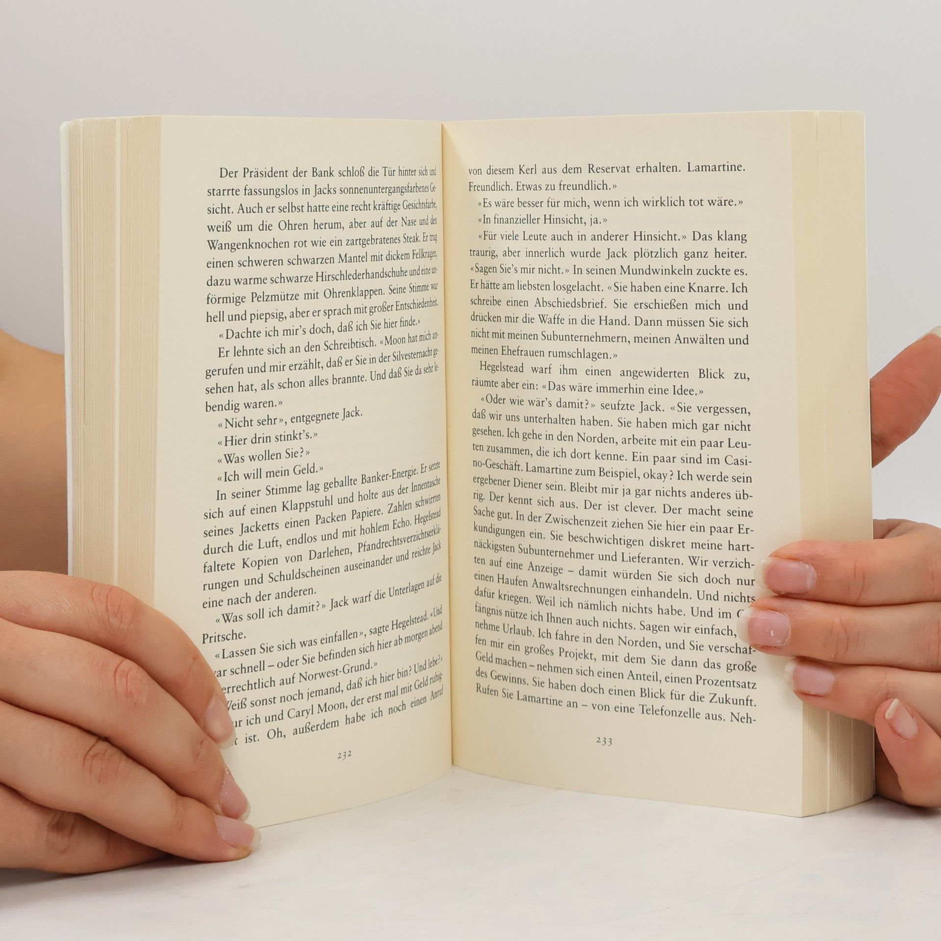 Louise Erdrich Geschichten von brennender Liebe