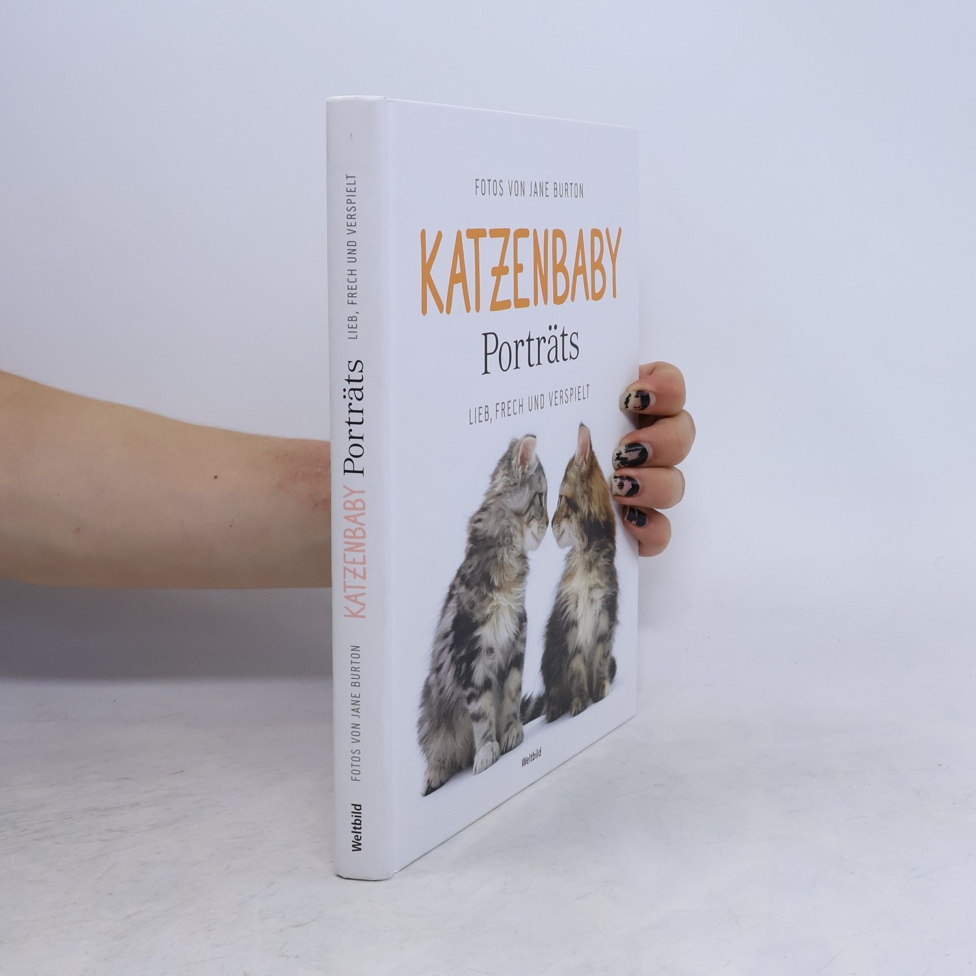 Jane Burton Katzenbaby