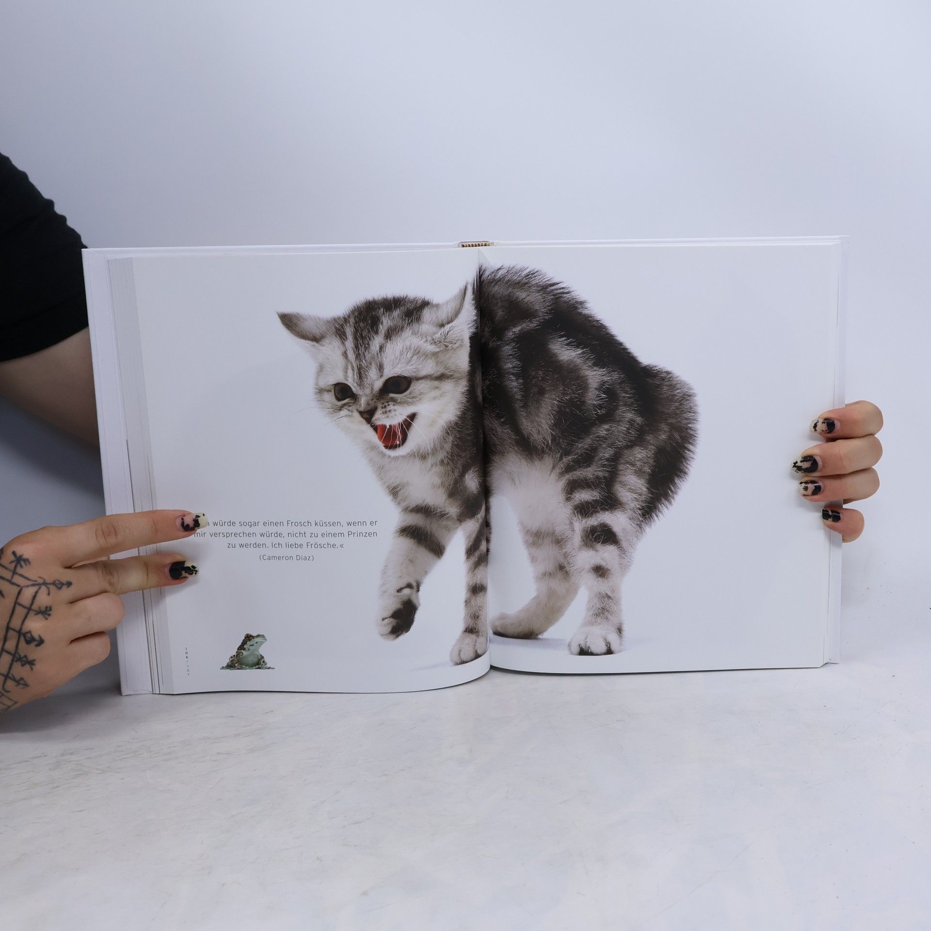 Jane Burton Katzenbaby
