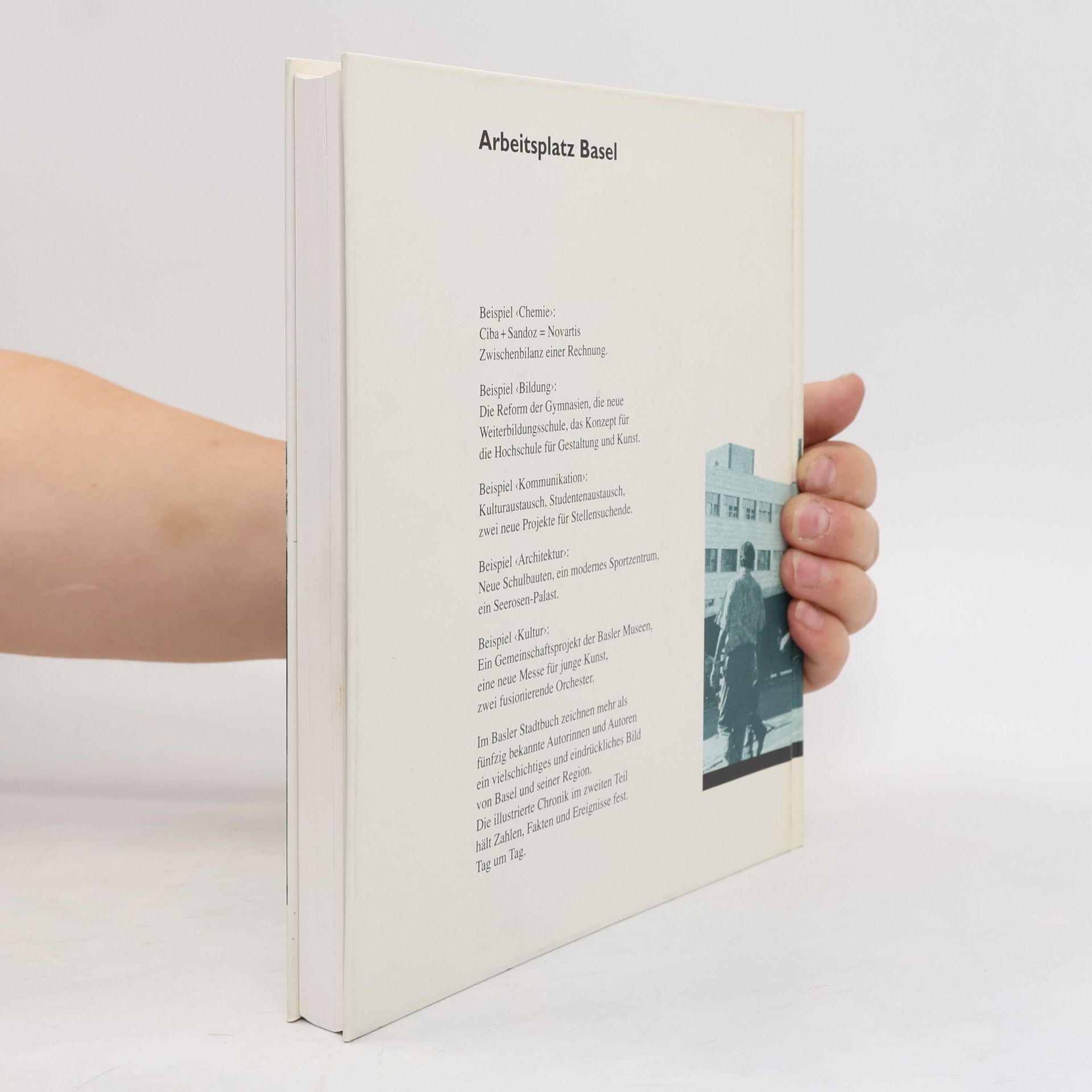 Basler Stadtbuch / Basler Stadtbuch: 1996