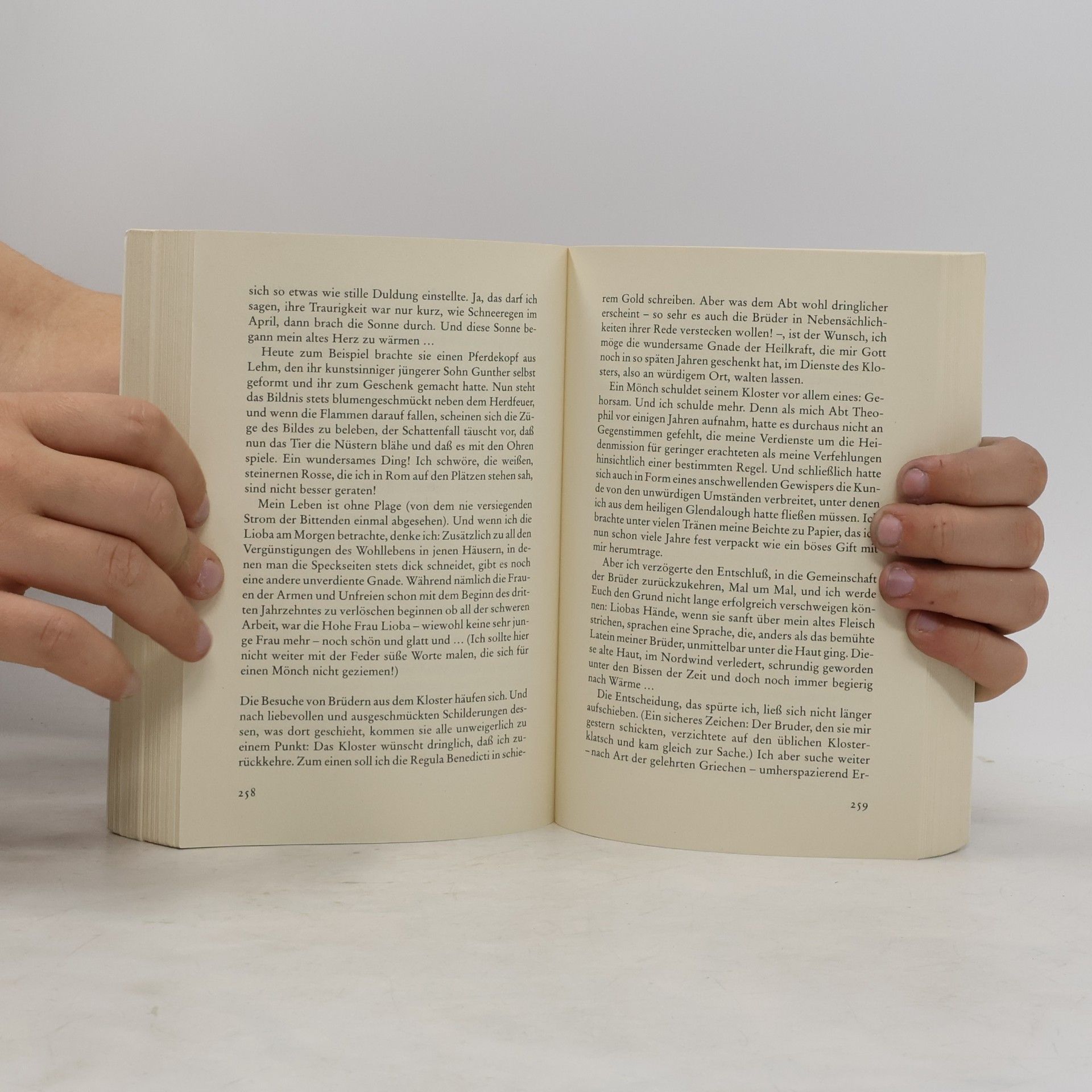 Claus-Peter Lieckfeld Das Buch Haithabu