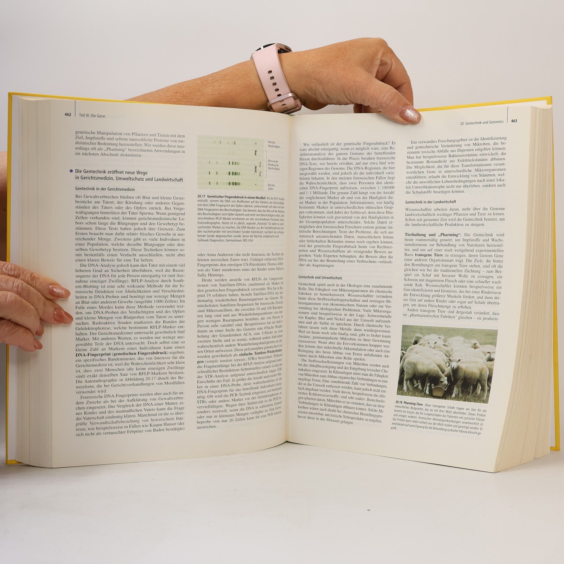 Neil A. Campbell Biologie