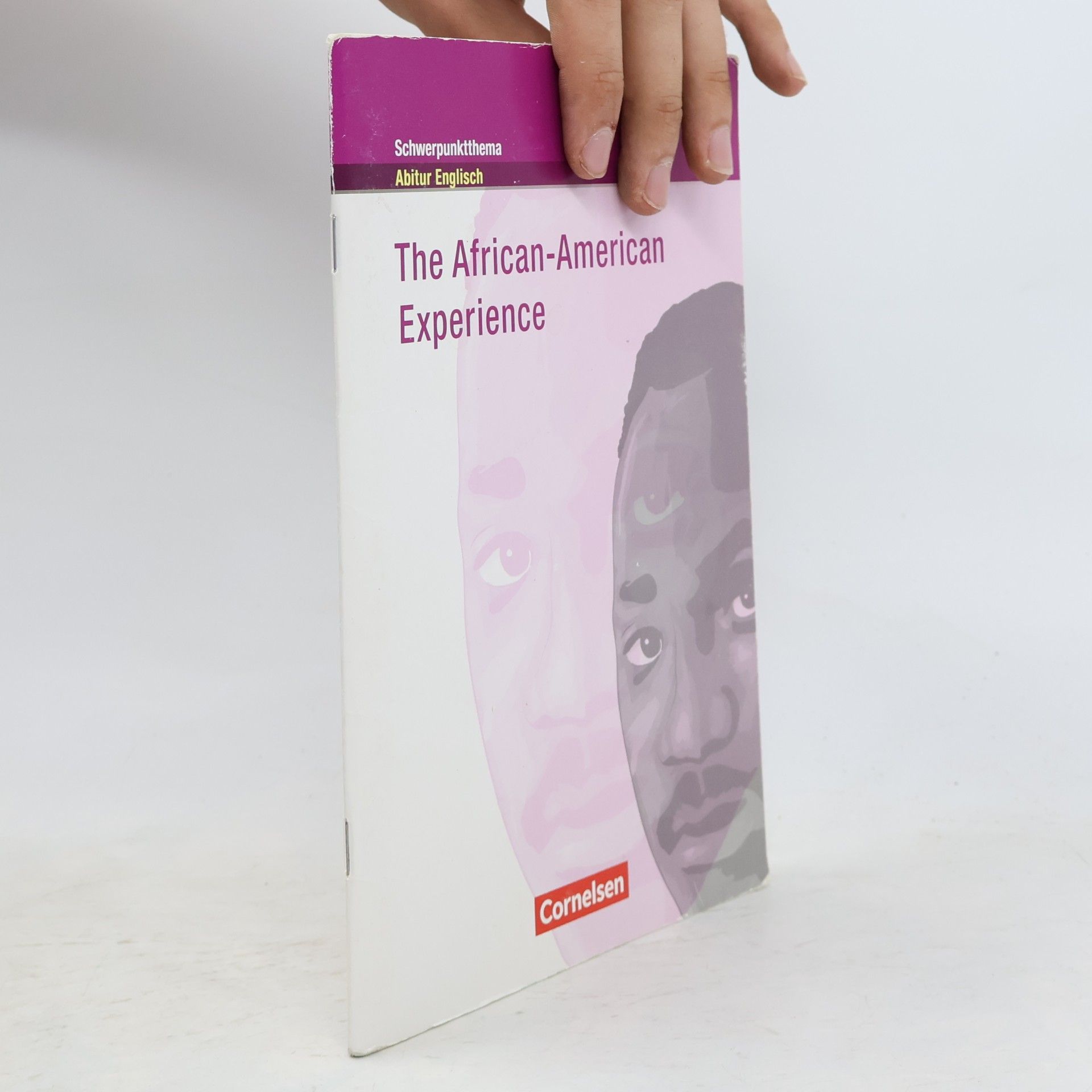 Paul Maloney The African-American Experience