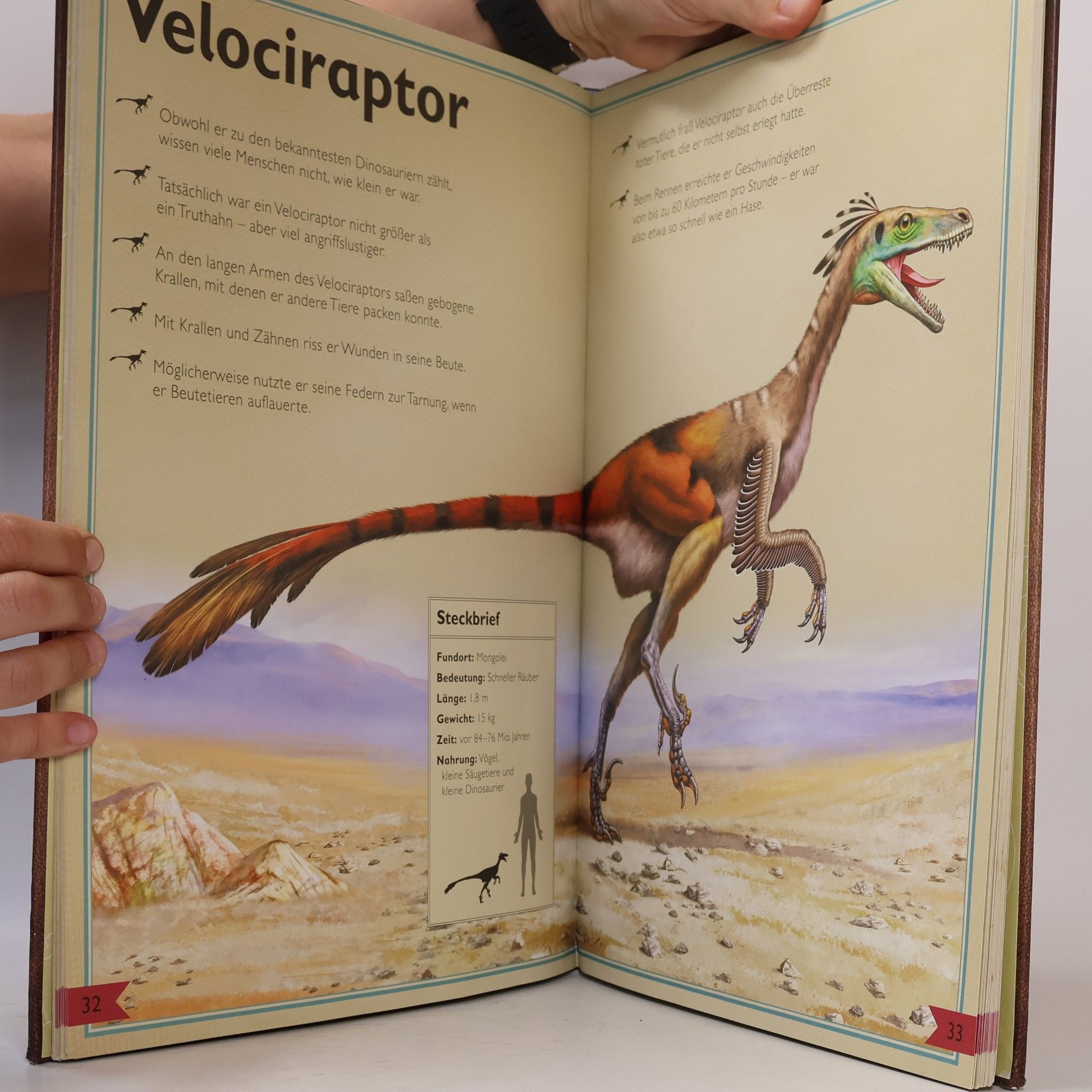 Rudolf Farkas Das Riesenbuch der Dinosaurier