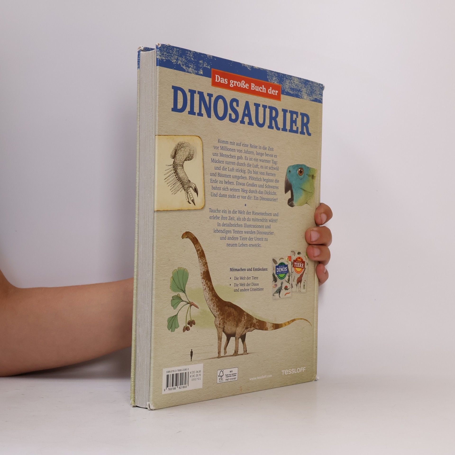 Juan Carlos Alonso Das große Buch der Dinosaurier