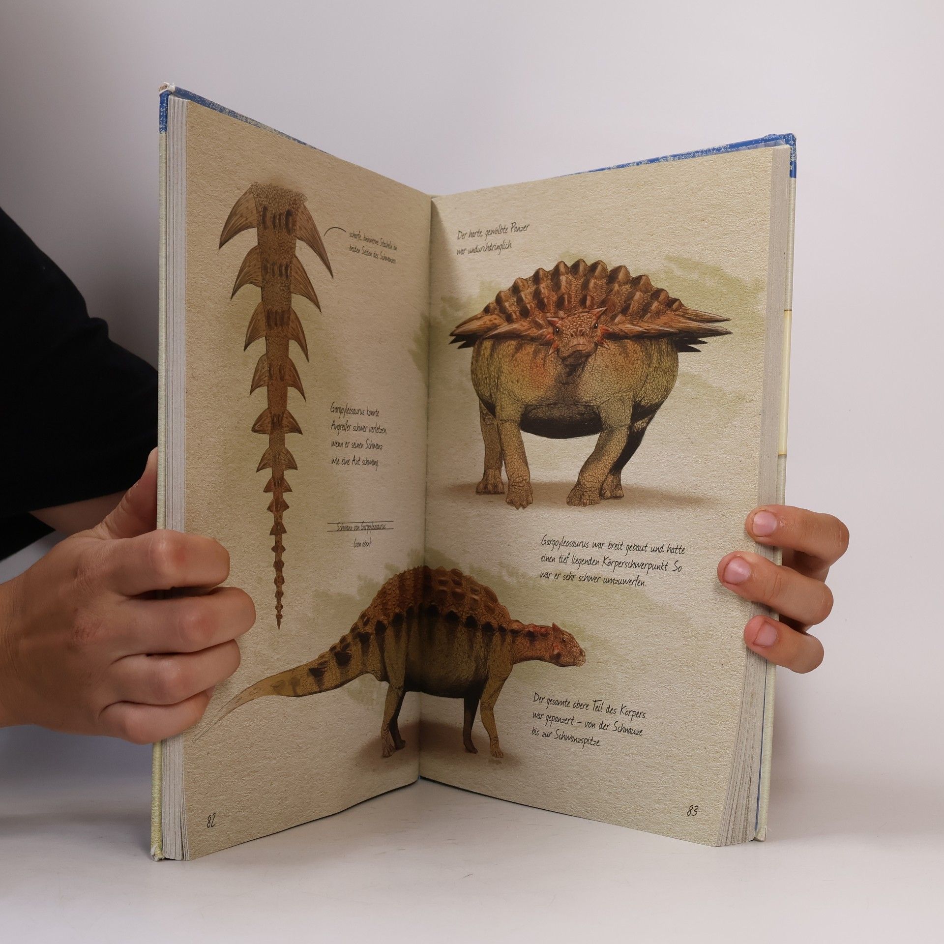 Juan Carlos Alonso Das große Buch der Dinosaurier