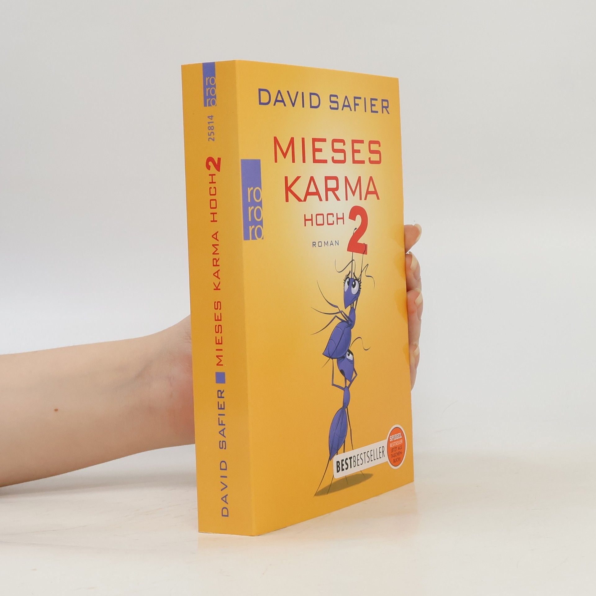 David Safier Mieses Karma hoch 2