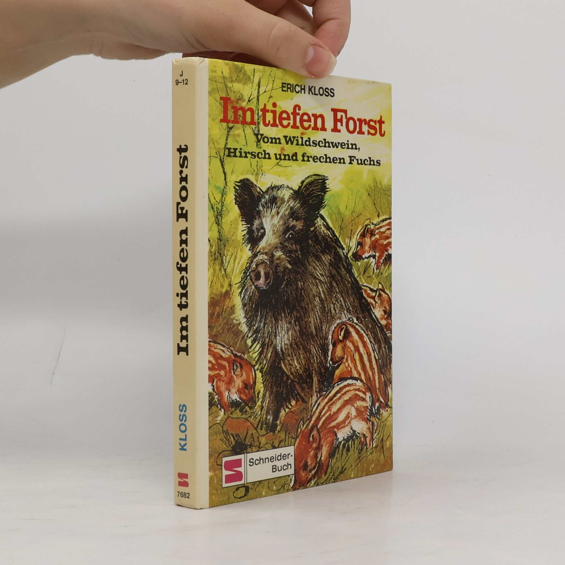 Im tiefen Forst. Vom Wildschwein, Hirsch und frechen Fuchs