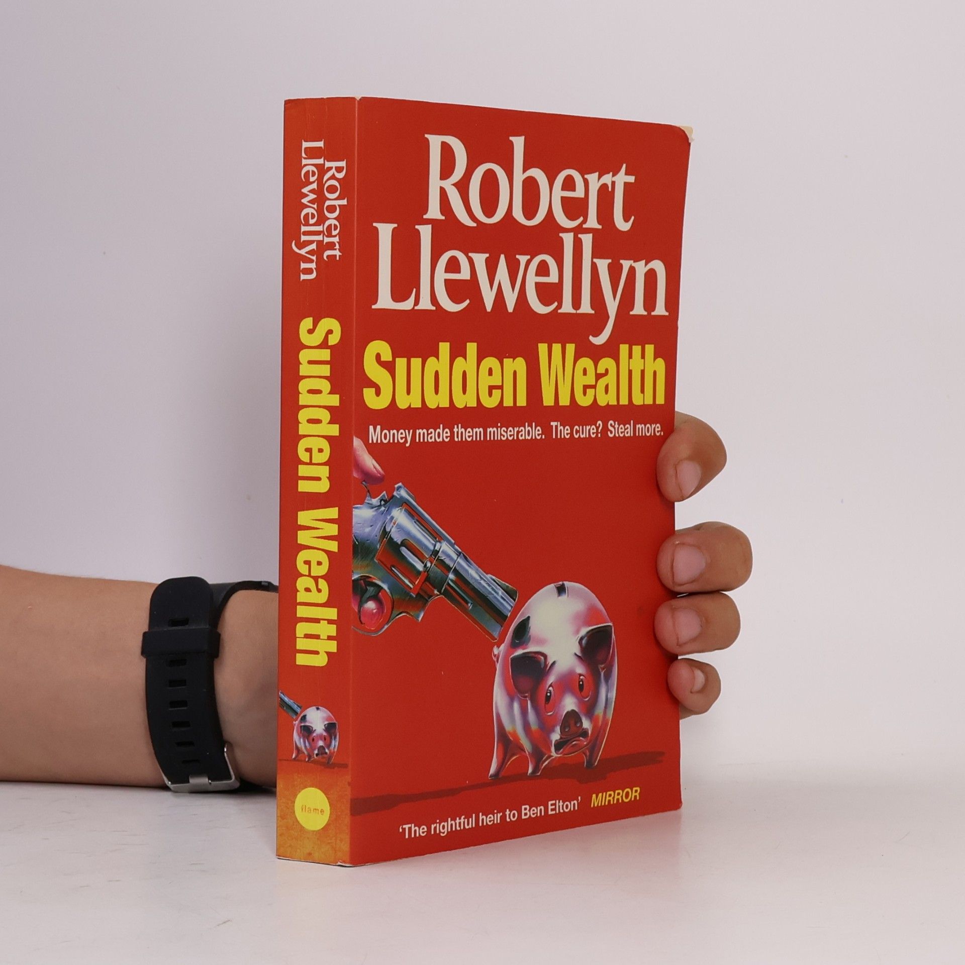 Llewellyn Robert Sudden Wealth