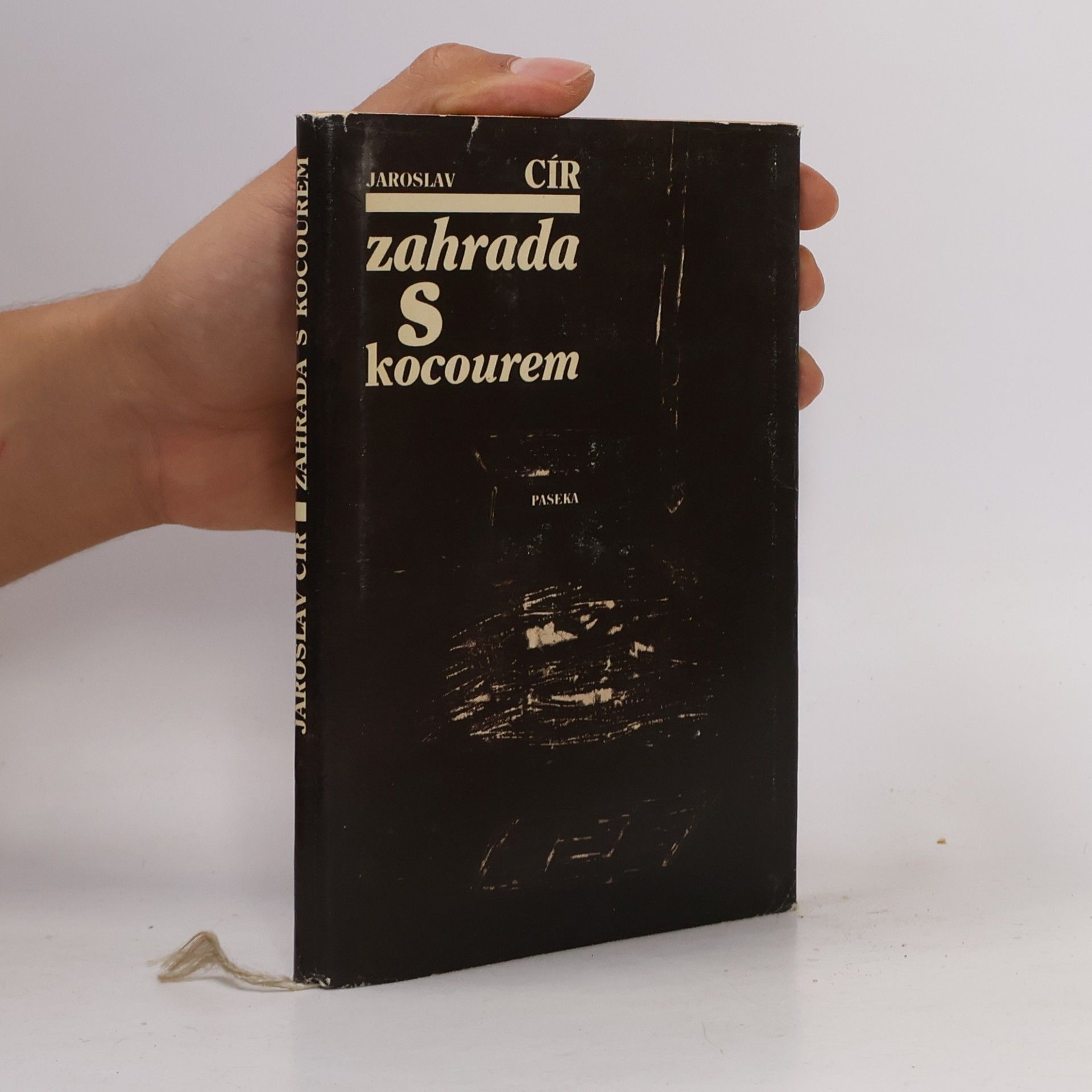Jaroslav Cír Zahrada s kocourem