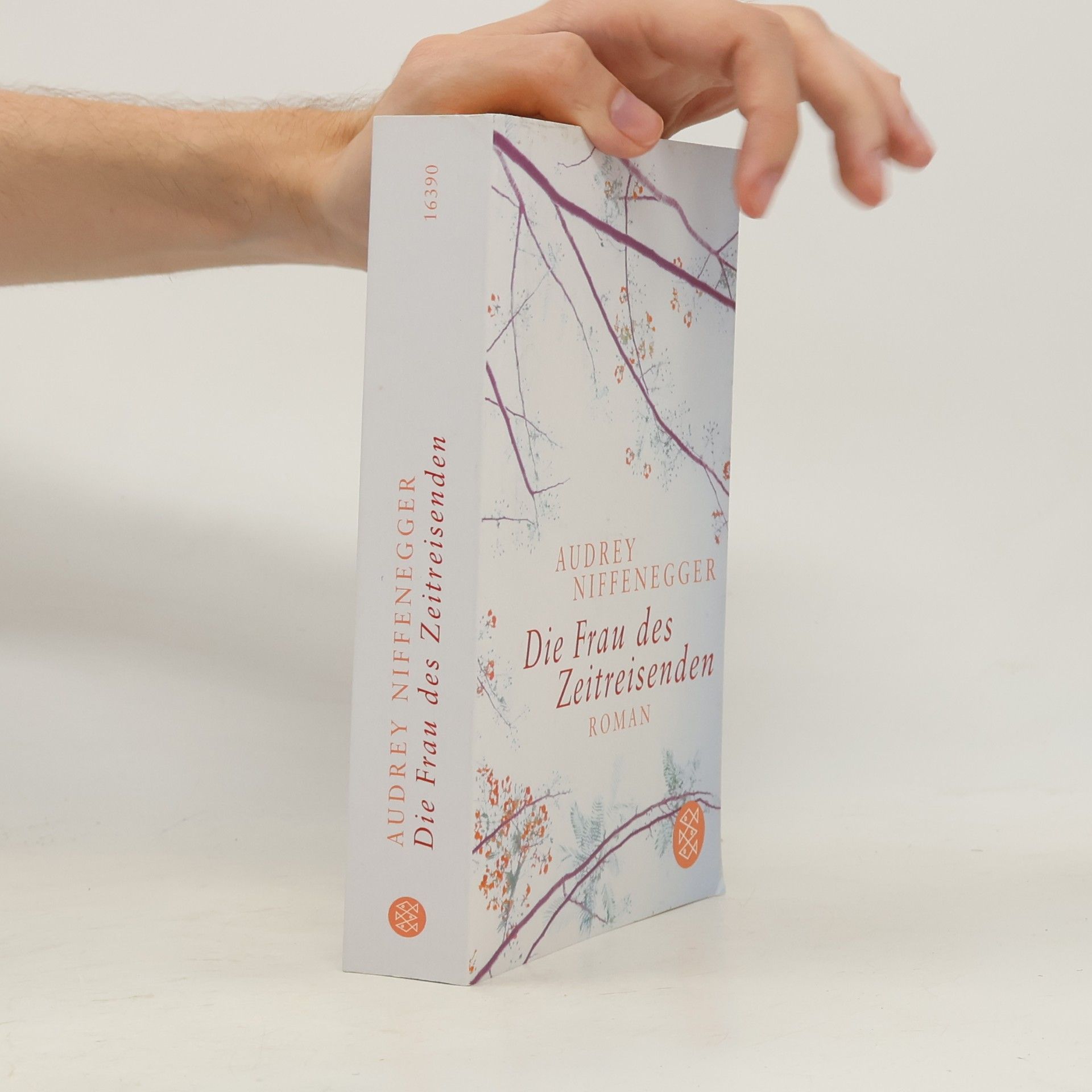 Audrey Niffenegger Die Frau des Zeitreisenden