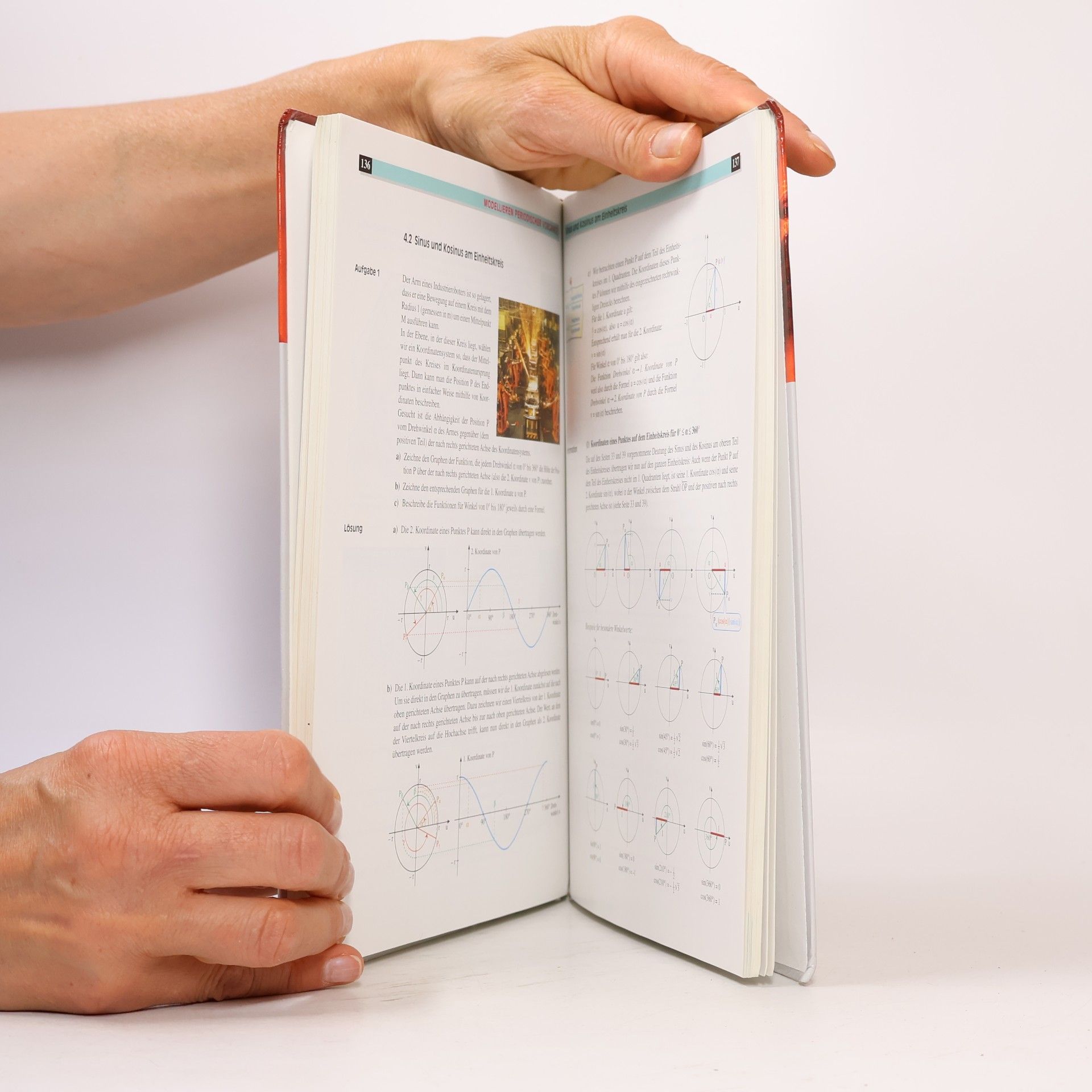 Elemente der Mathematik SI - Ausgabe 2008 für Brandenburg: Schülerband 10